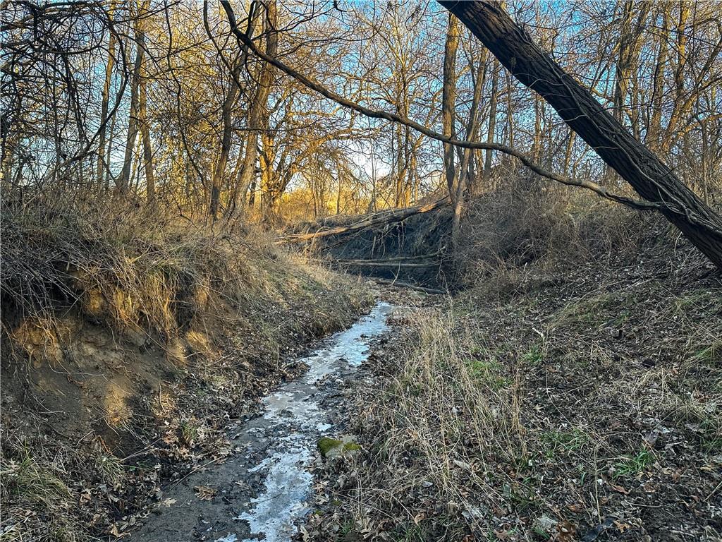 Rockingham Road Hardin, MO 64035 - Photo 11 of 44