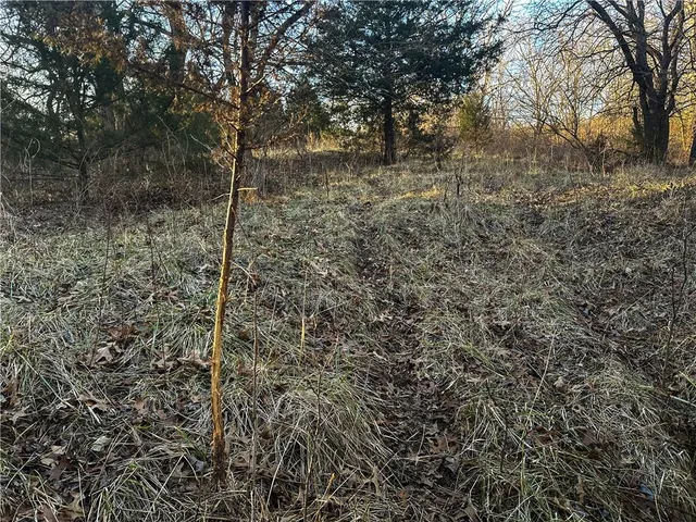 $156,250 | Rockingham Road, Hardin, MO 64035