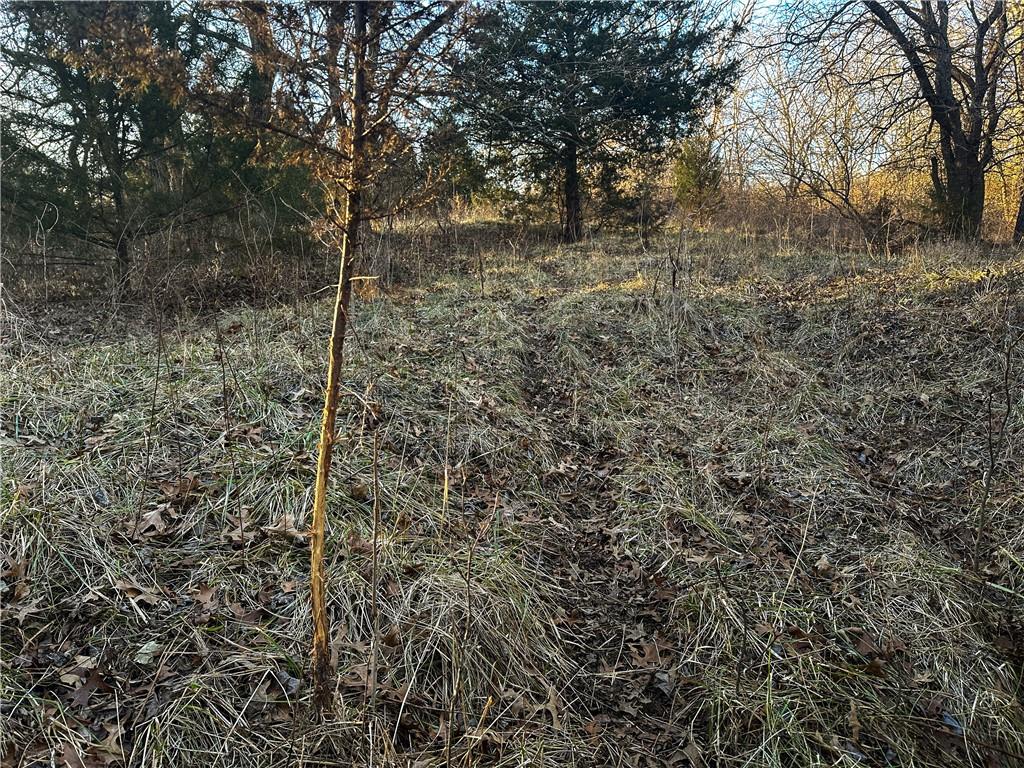 Rockingham Road Hardin, MO 64035 - Photo 13 of 44