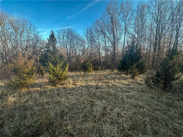 $156,250 | Rockingham Road, Hardin, MO 64035