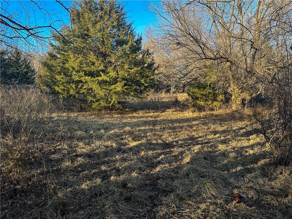 Rockingham Road Hardin, MO 64035 - Photo 15 of 44