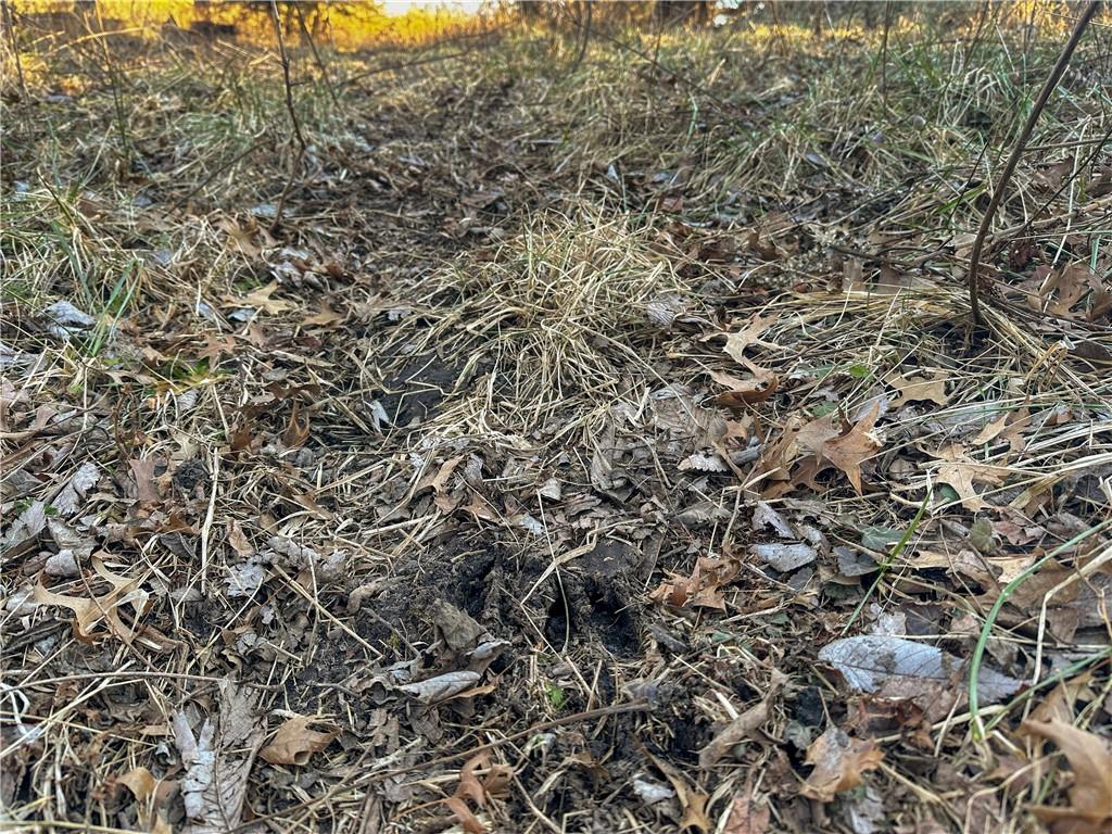 Rockingham Road Hardin, MO 64035 - Photo 17 of 44