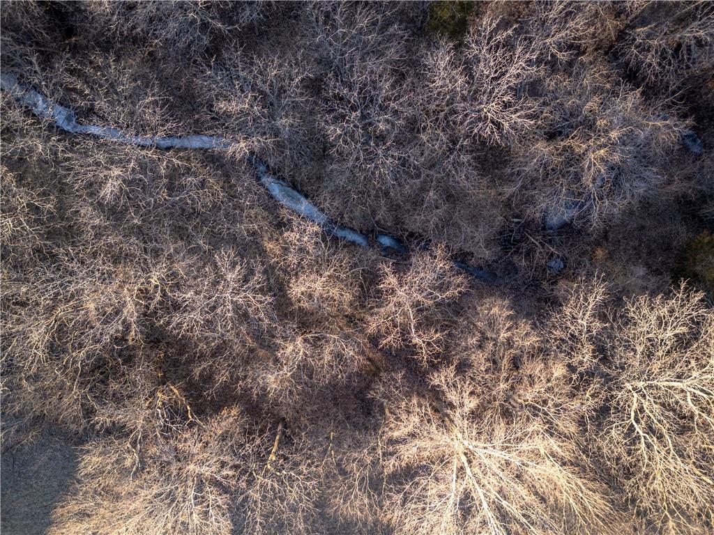 Rockingham Road Hardin, MO 64035 - Photo 34 of 44