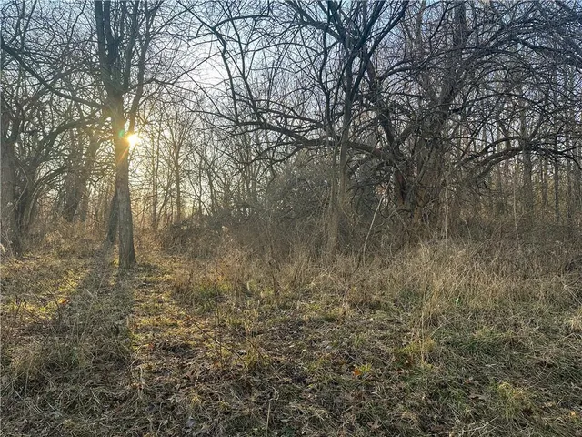 $156,250 | Rockingham Road, Hardin, MO 64035