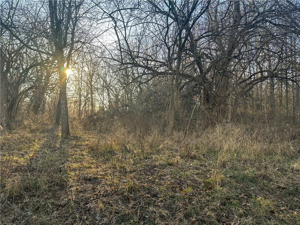 Rockingham Road Hardin, MO 64035 - Photo 10 of 44