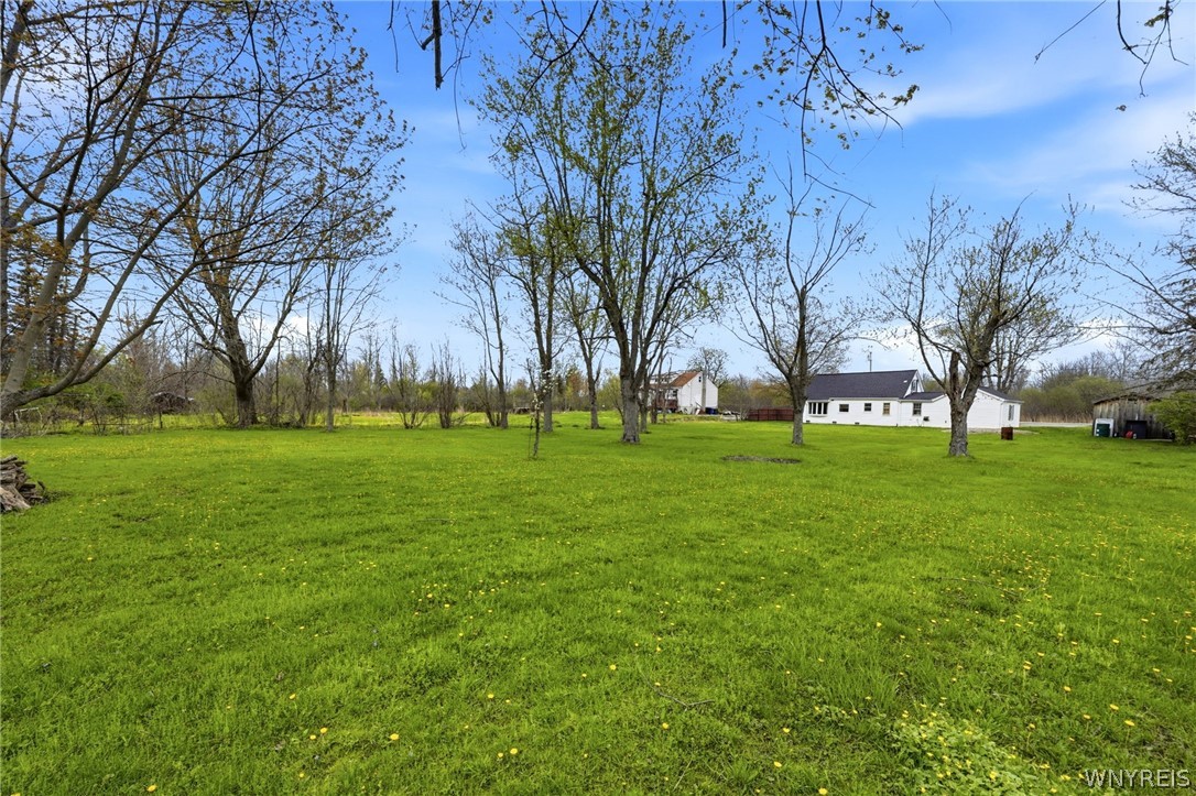 3456 South Newstead Road Alden, NY 14001 - Photo 19 of 32