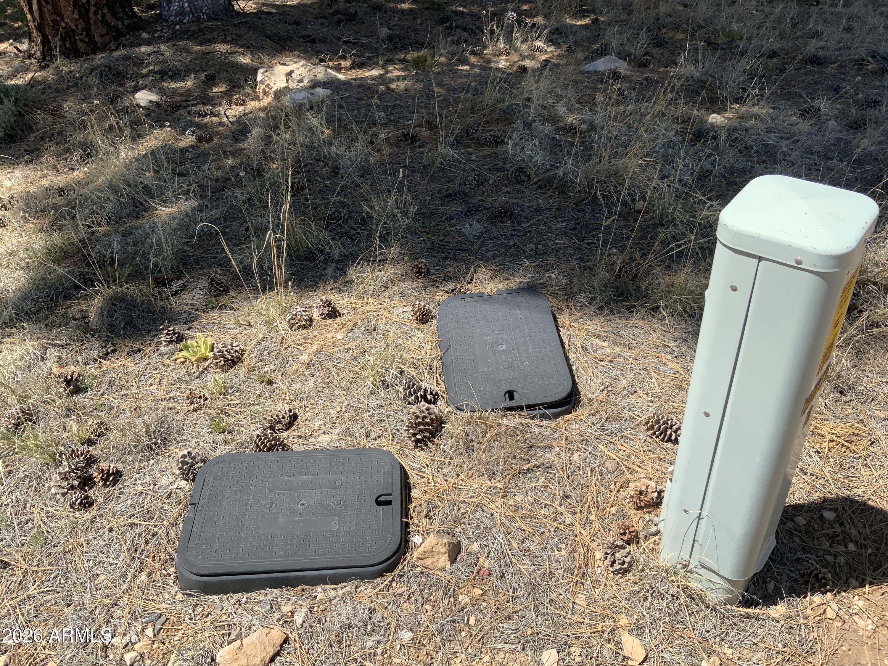 2870 Coyote Ridge, Unit 54 Happy Jack, AZ 86024 - Photo 11 of 37 a view of a outdoor space