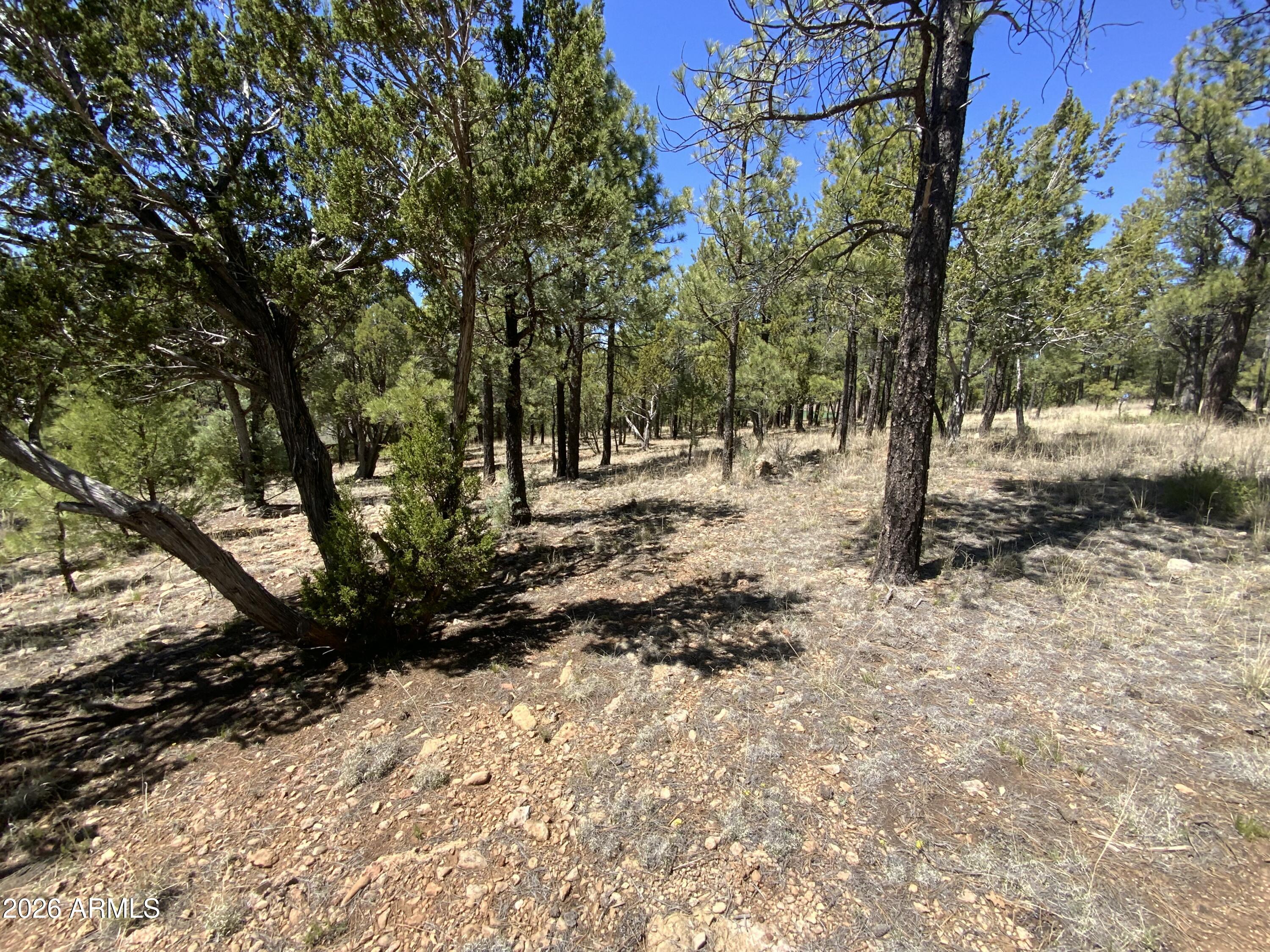 2870 Coyote Ridge, Unit 54 Happy Jack, AZ 86024 - Photo 12 of 37 a view of a snow in a yard