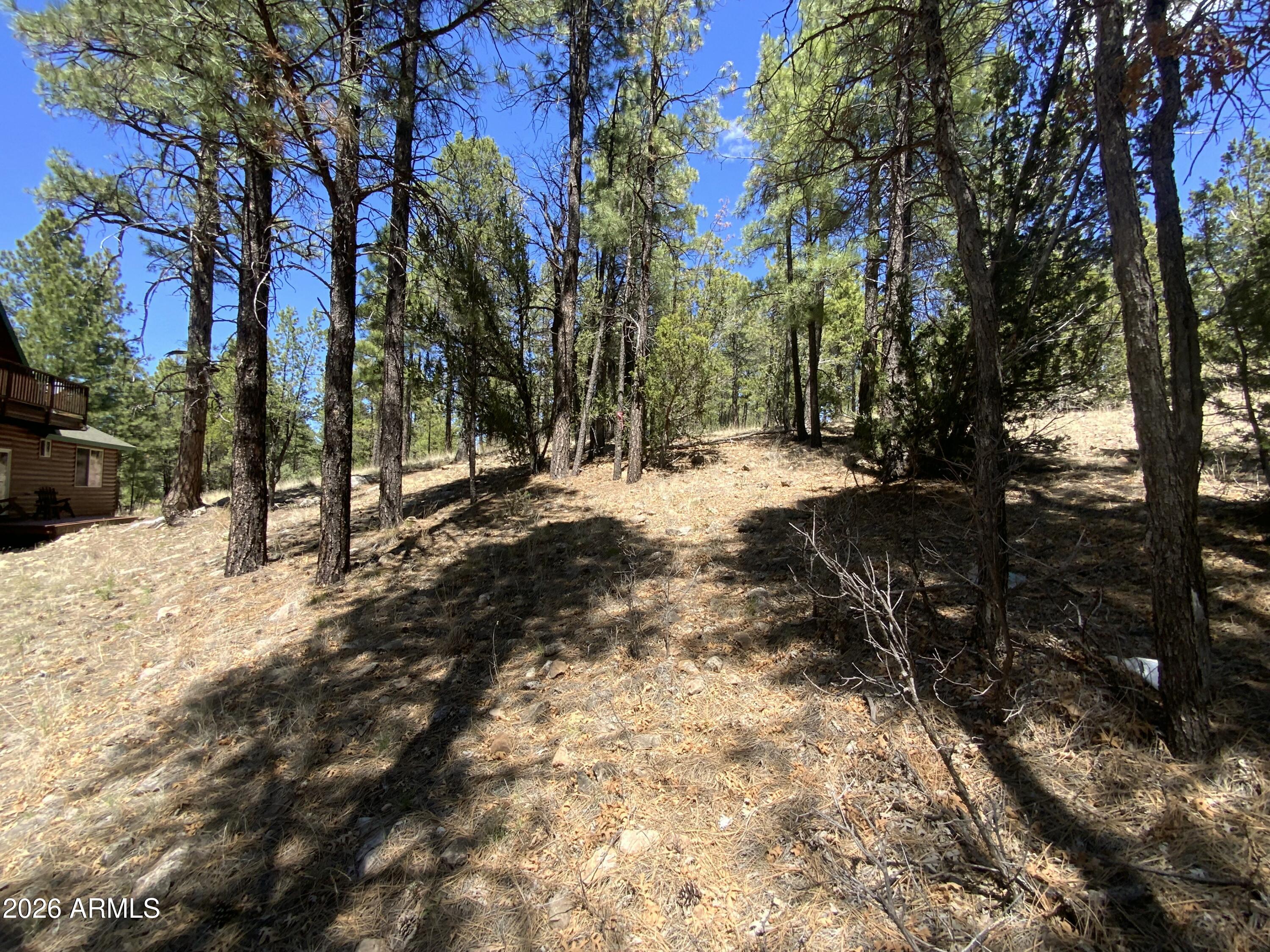 2870 Coyote Ridge, Unit 54 Happy Jack, AZ 86024 - Photo 13 of 37 a view of a yard with a tree