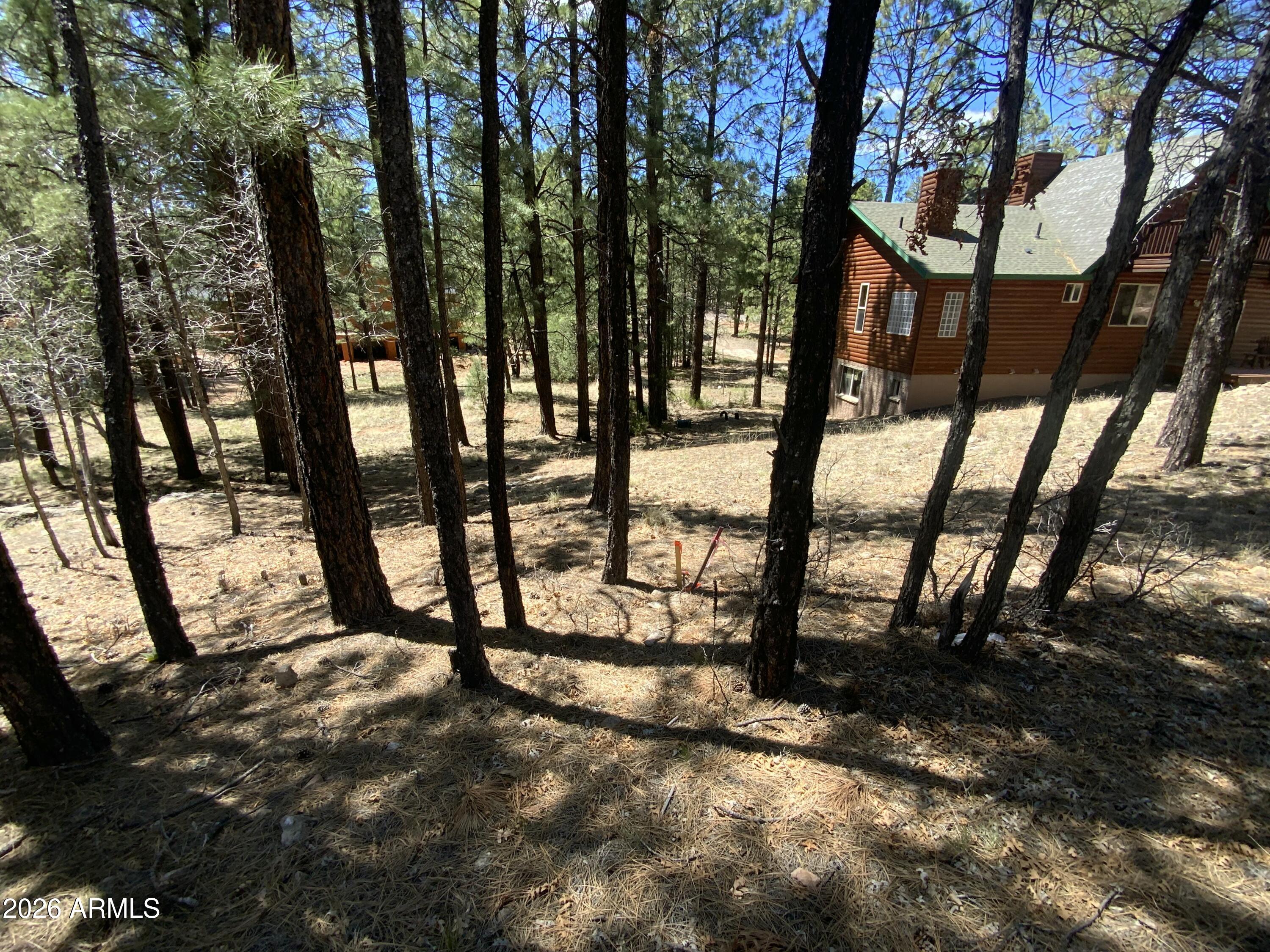 2870 Coyote Ridge, Unit 54 Happy Jack, AZ 86024 - Photo 14 of 37 a view of outdoor space with lots of trees