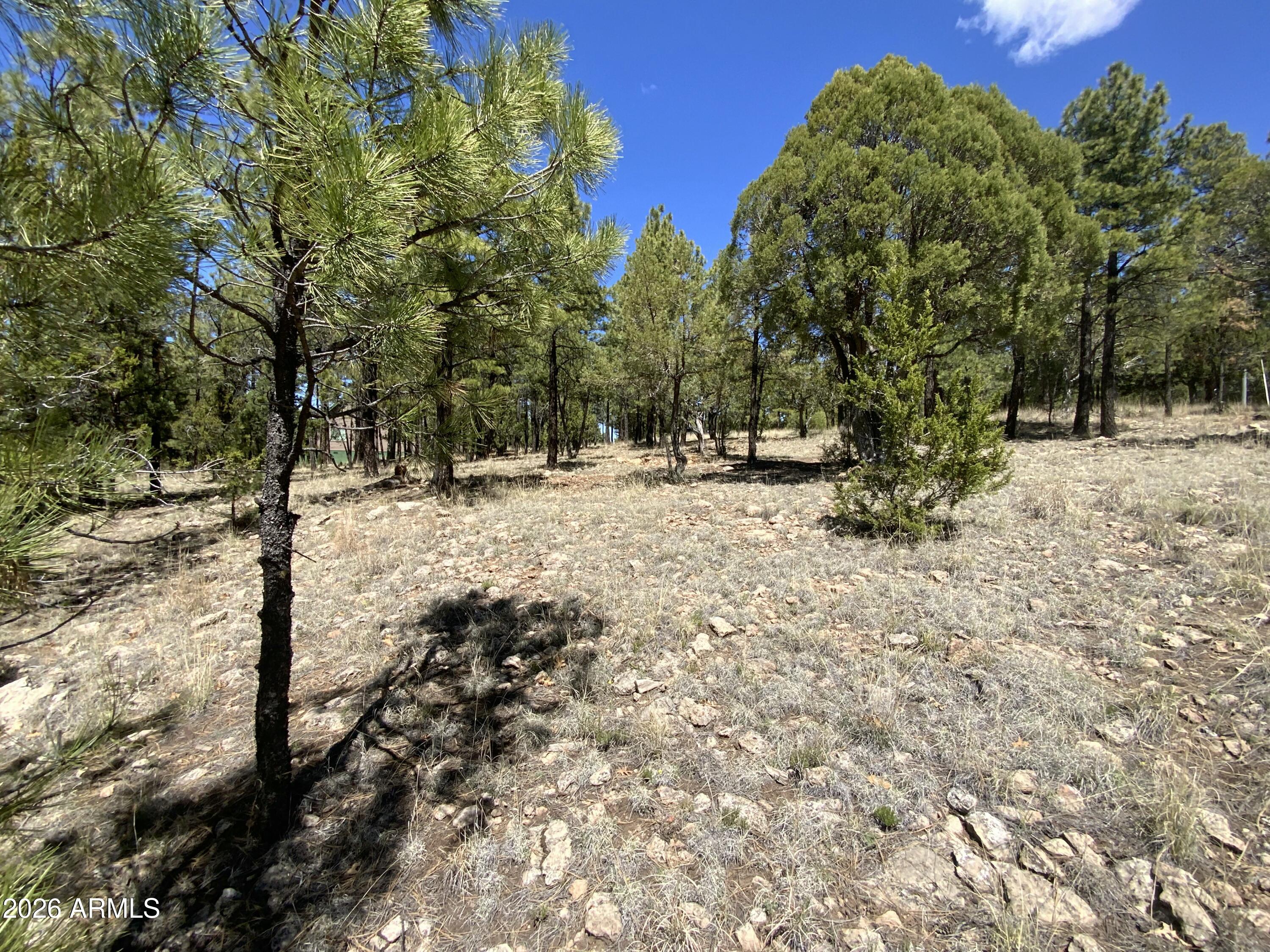 2870 Coyote Ridge, Unit 54 Happy Jack, AZ 86024 - Photo 15 of 37 Nicely Wooded