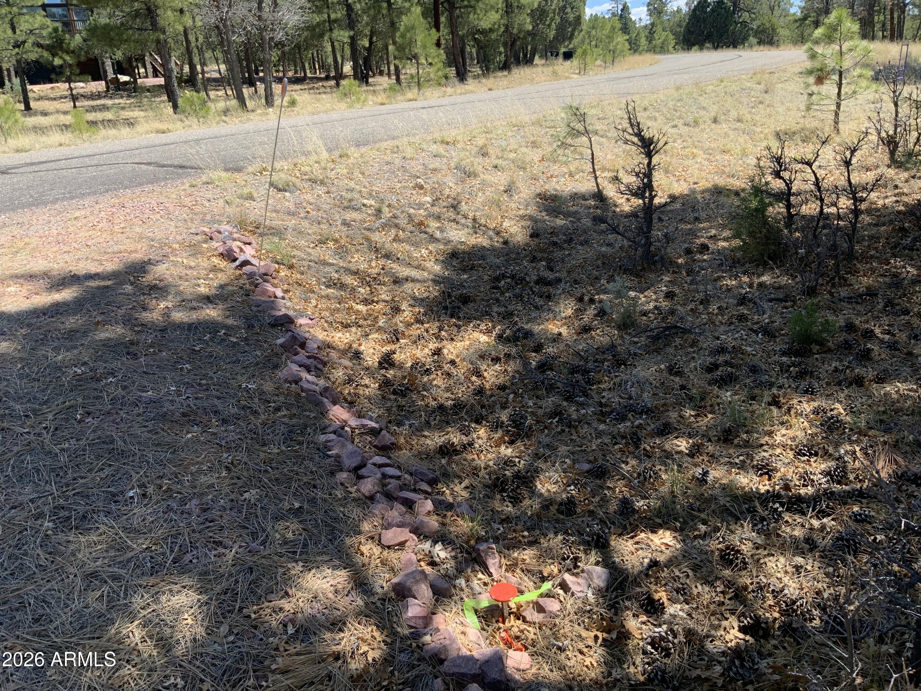 2870 Coyote Ridge, Unit 54 Happy Jack, AZ 86024 - Photo 16 of 37 a view of a yard with trees