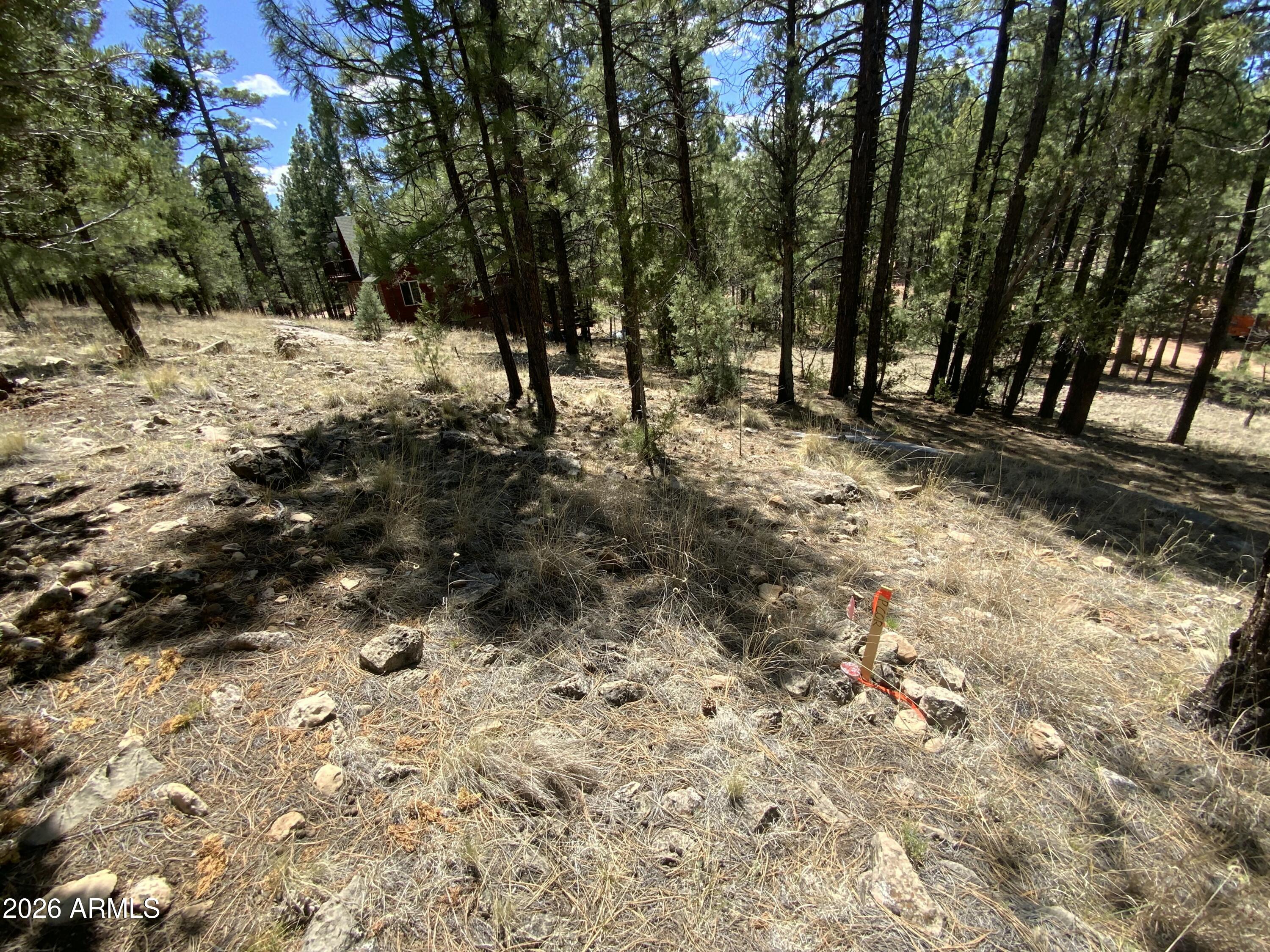 2870 Coyote Ridge, Unit 54 Happy Jack, AZ 86024 - Photo 18 of 37 a view of a yard covered in snow