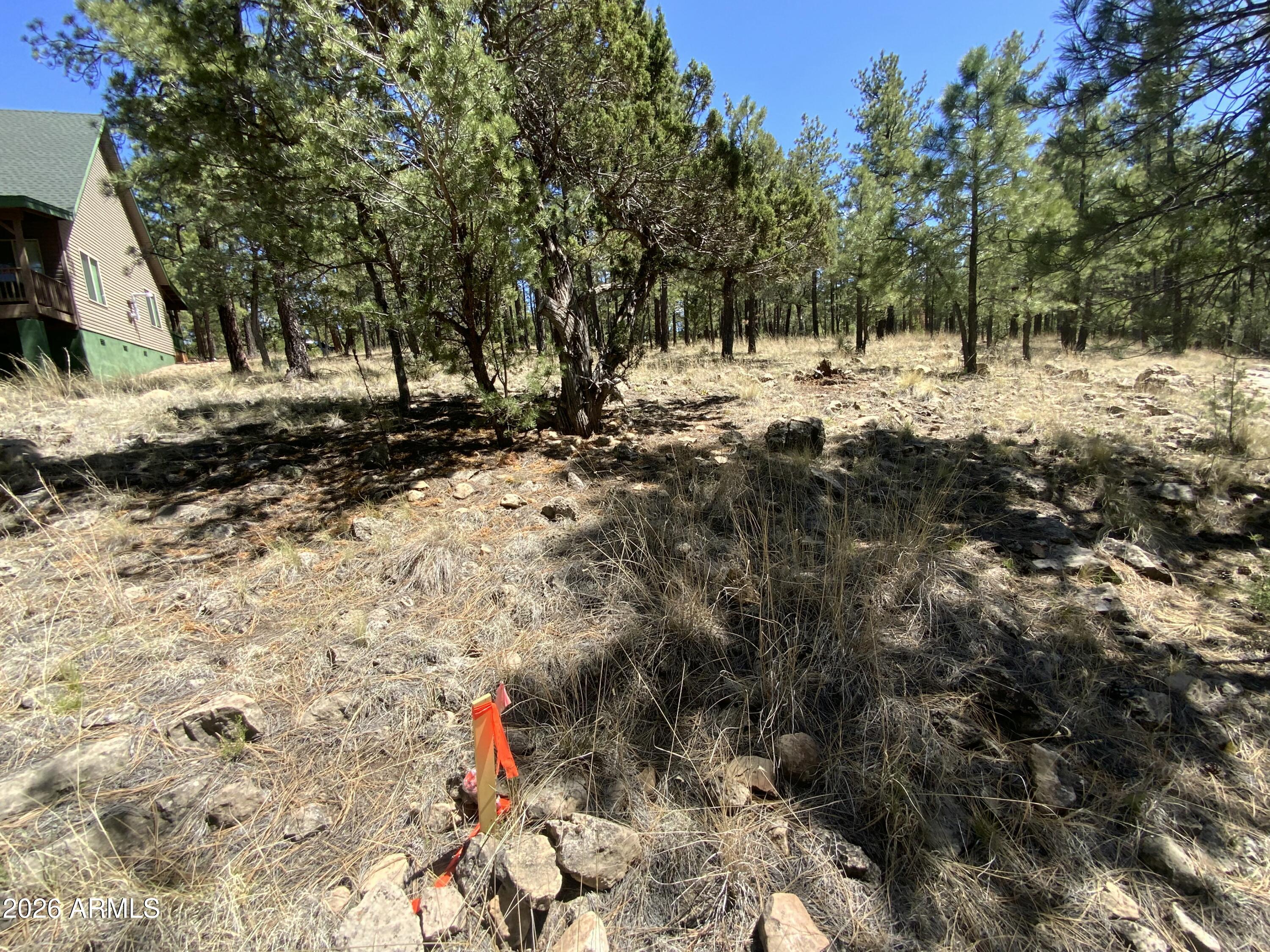 2870 Coyote Ridge, Unit 54 Happy Jack, AZ 86024 - Photo 19 of 37 a view of a yard with trees