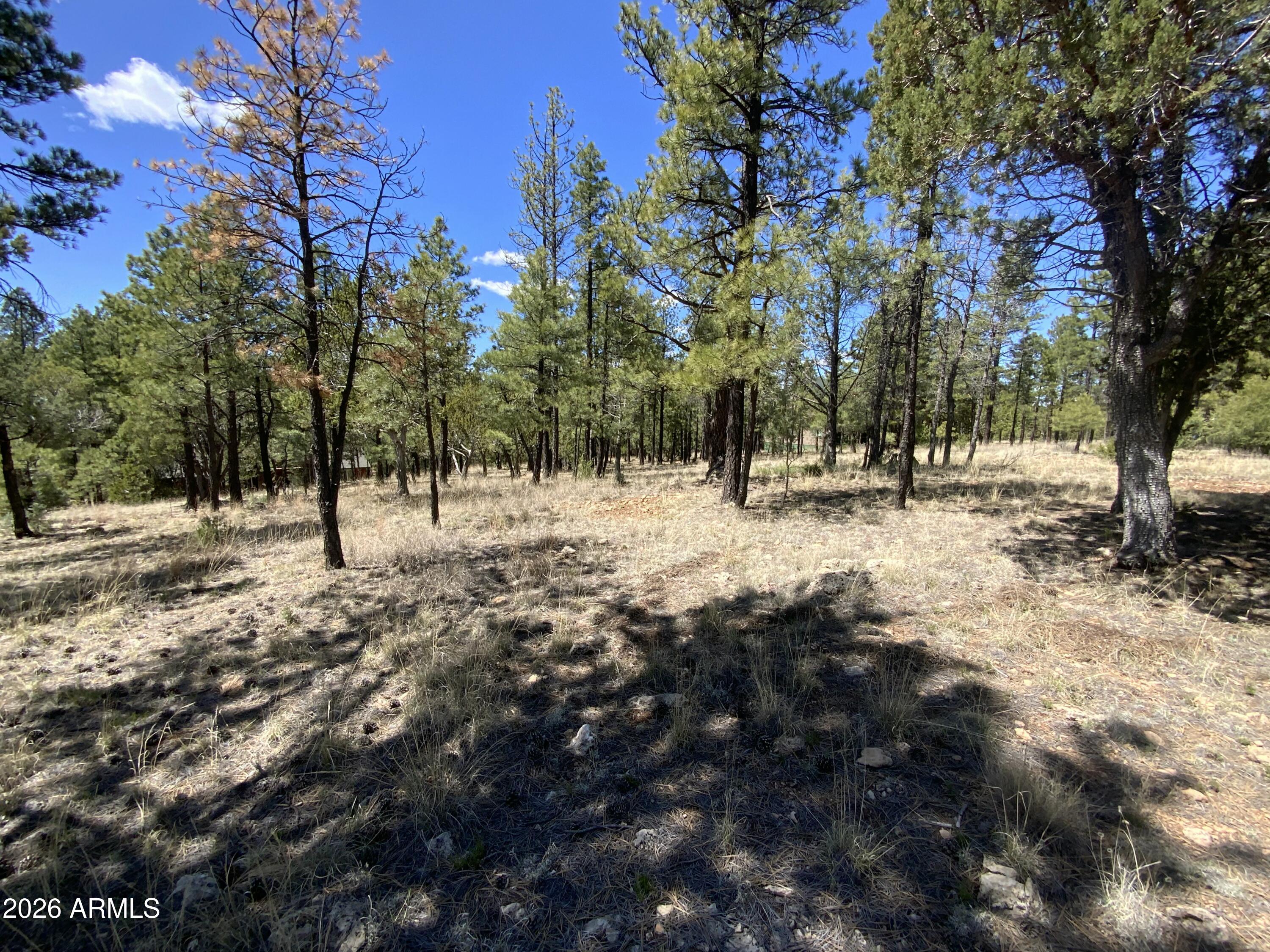2870 Coyote Ridge, Unit 54 Happy Jack, AZ 86024 - Photo 2 of 37 a view of covered with snow