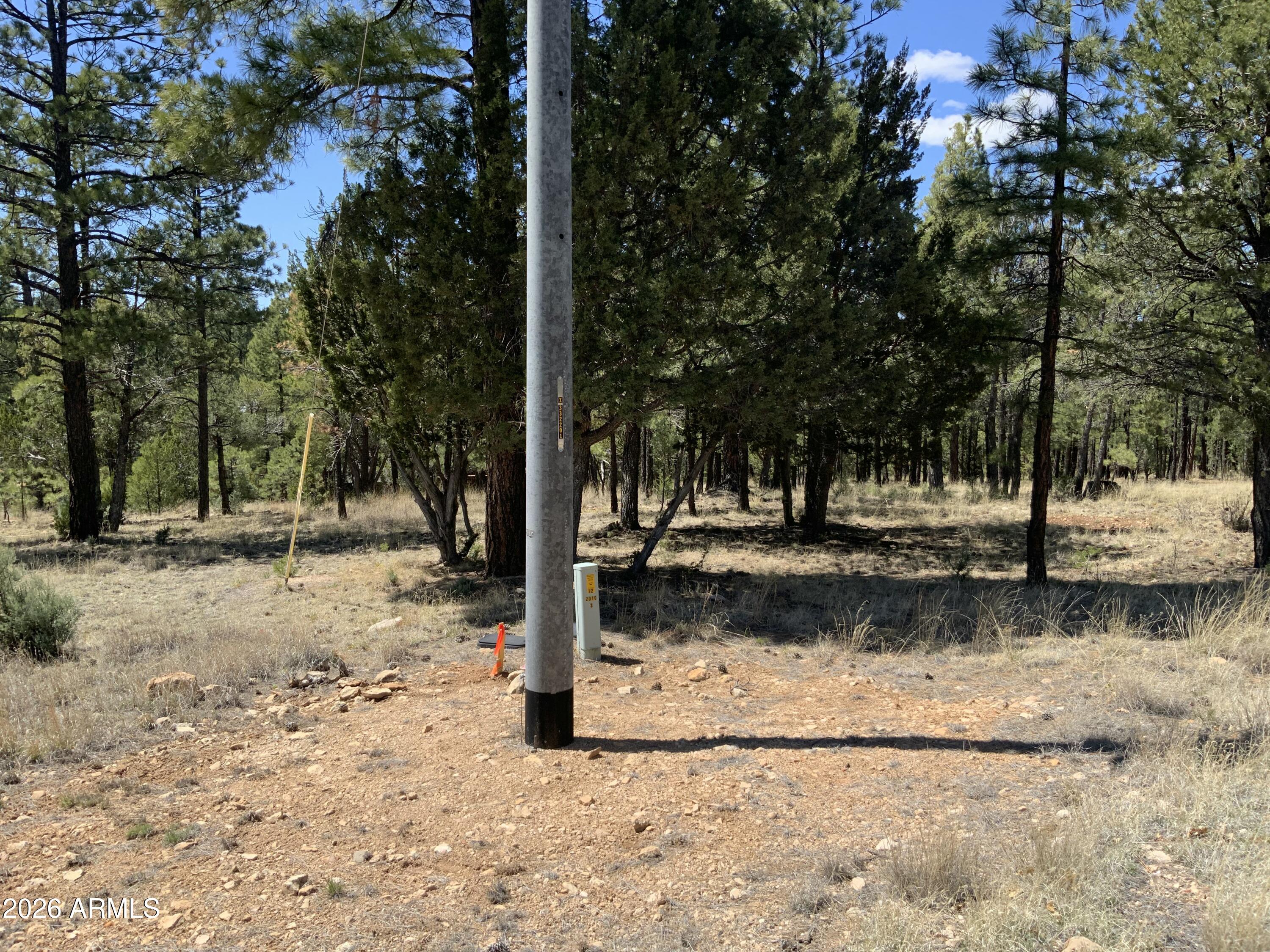 2870 Coyote Ridge, Unit 54 Happy Jack, AZ 86024 - Photo 21 of 37 a view of a yard with trees