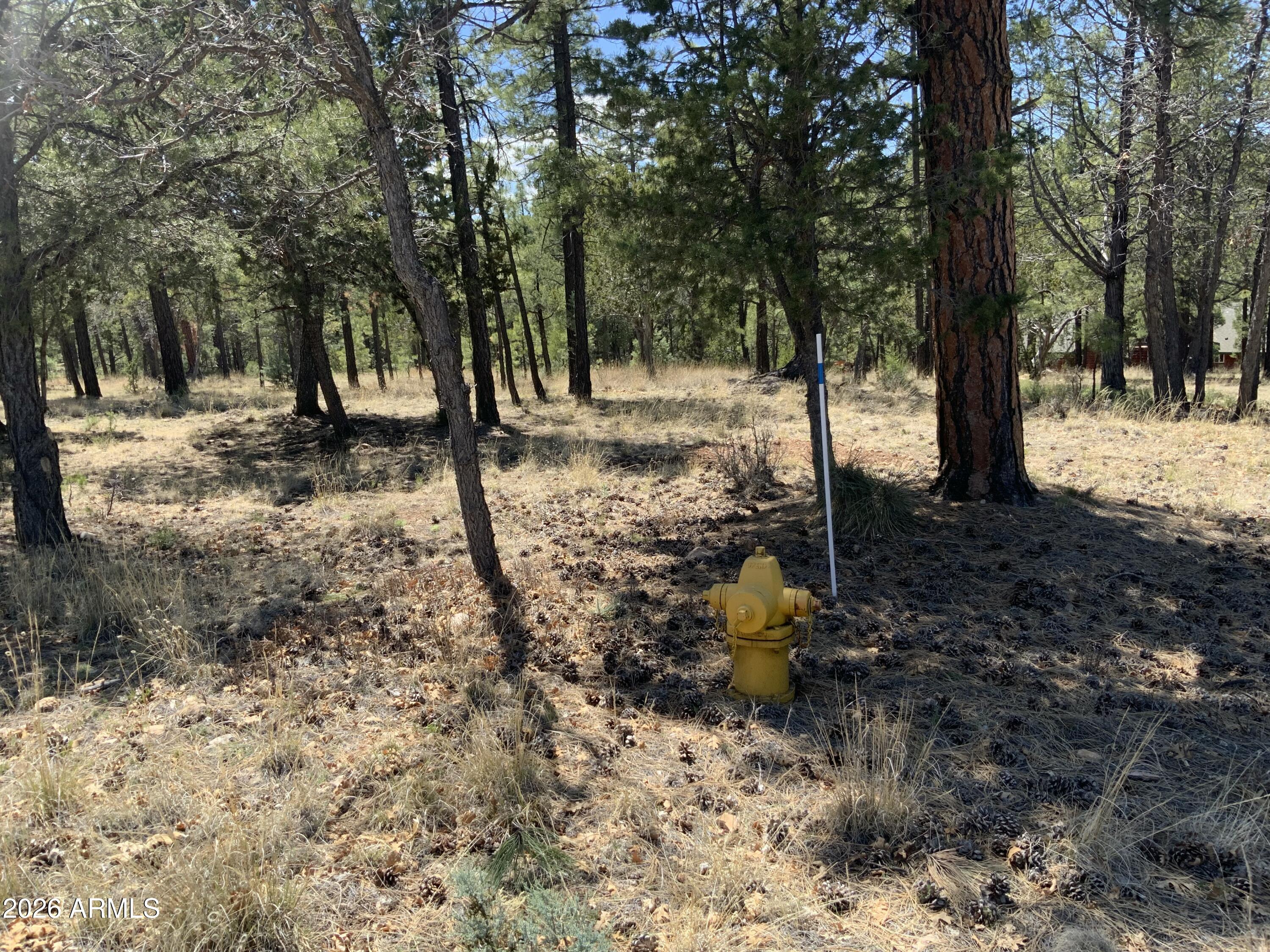 2870 Coyote Ridge, Unit 54 Happy Jack, AZ 86024 - Photo 22 of 37 a view of a tree with a yard