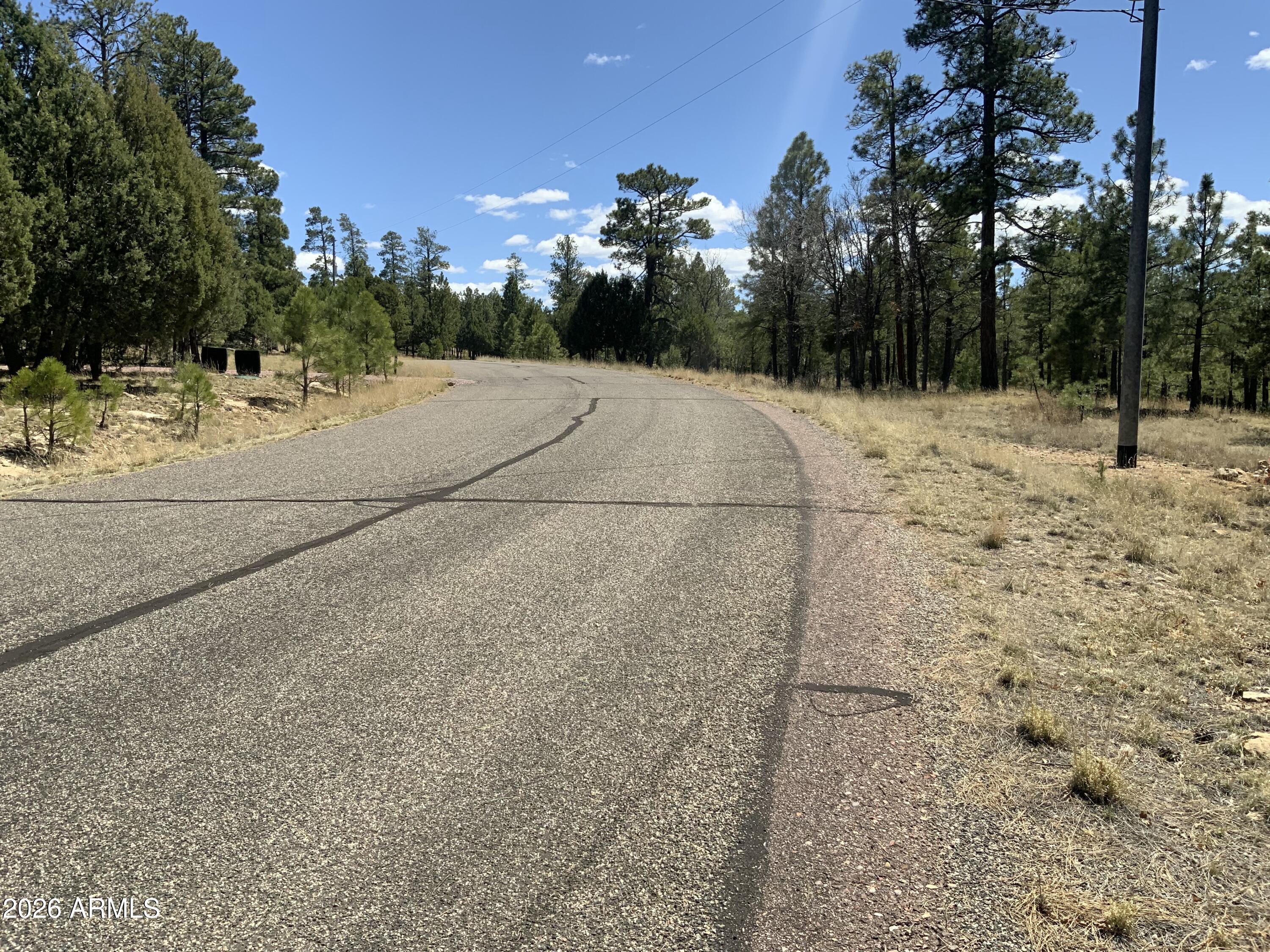 2870 Coyote Ridge, Unit 54 Happy Jack, AZ 86024 - Photo 24 of 37 a view of a backyard of the house