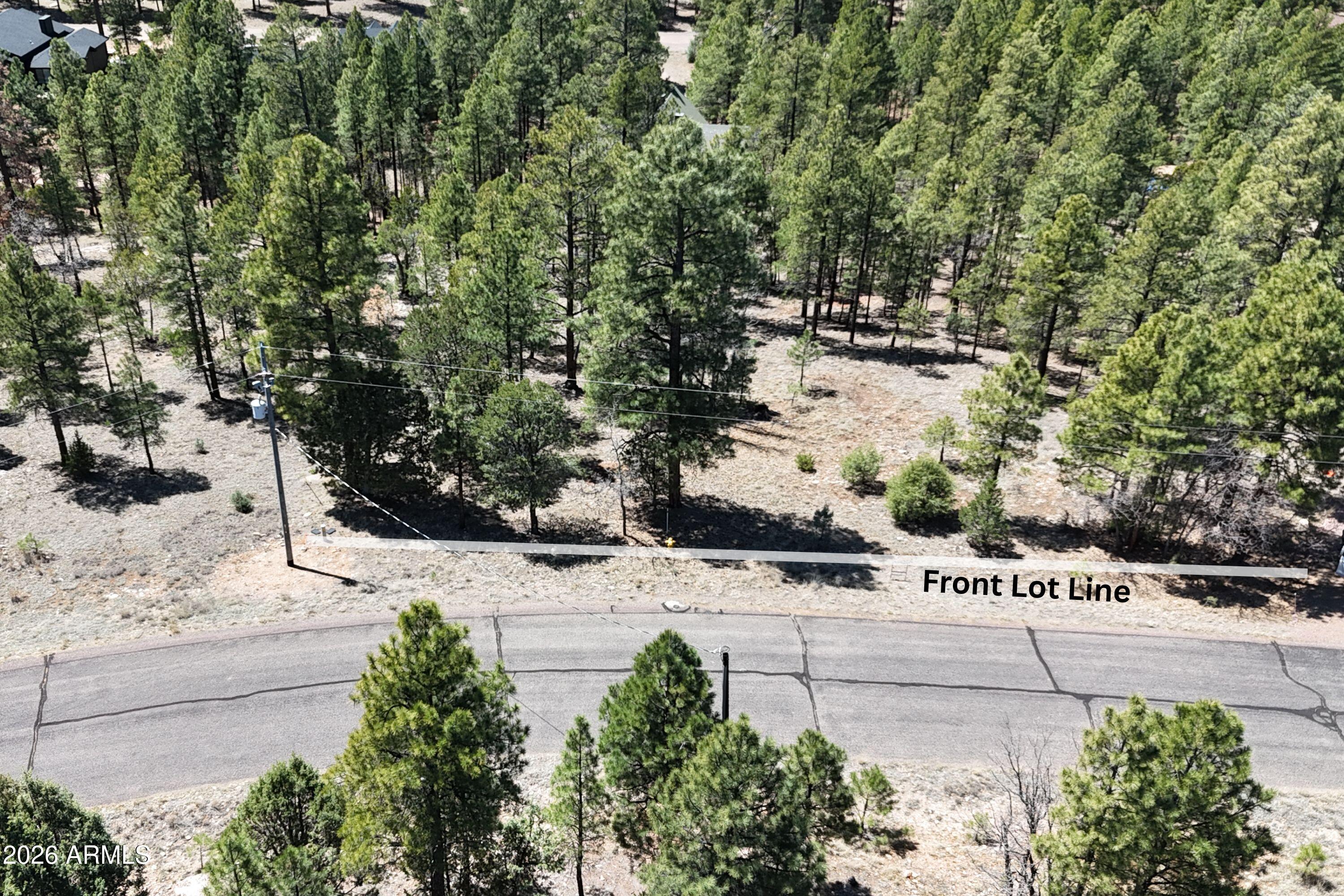 2870 Coyote Ridge, Unit 54 Happy Jack, AZ 86024 - Photo 26 of 37 a view of a yard with plants