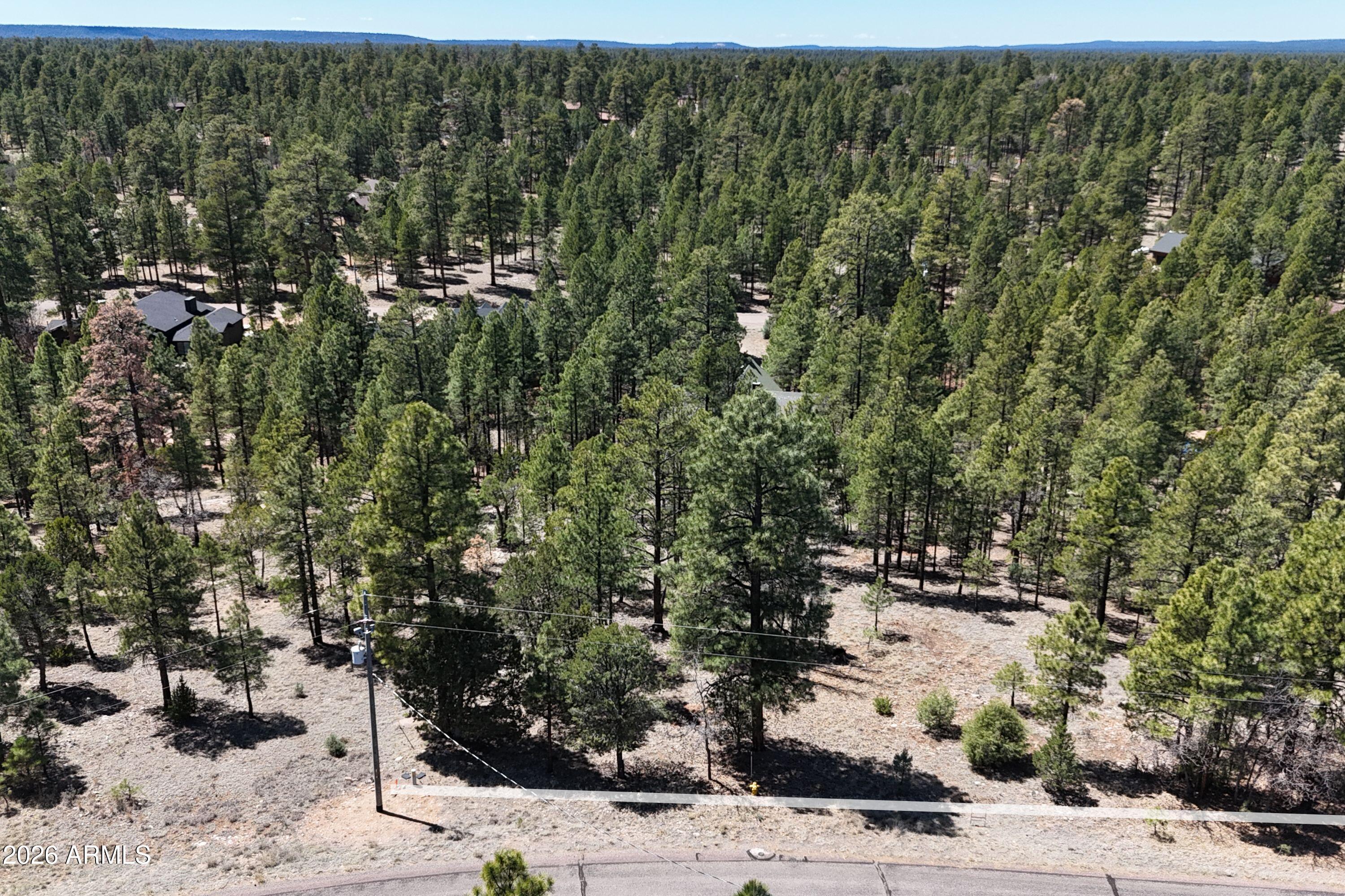 2870 Coyote Ridge, Unit 54 Happy Jack, AZ 86024 - Photo 27 of 37 3