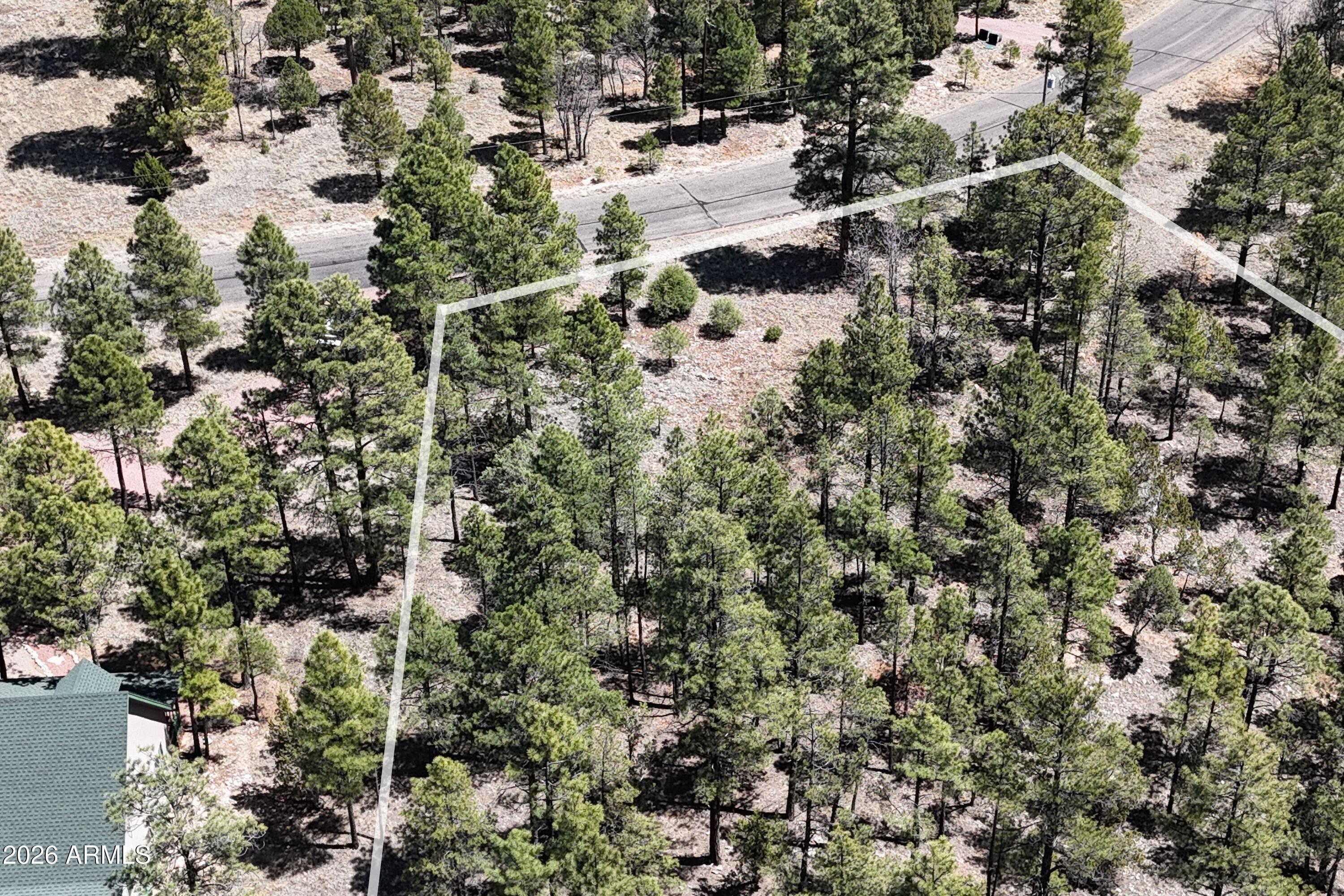 2870 Coyote Ridge, Unit 54 Happy Jack, AZ 86024 - Photo 30 of 37 a view of a forest with a tree