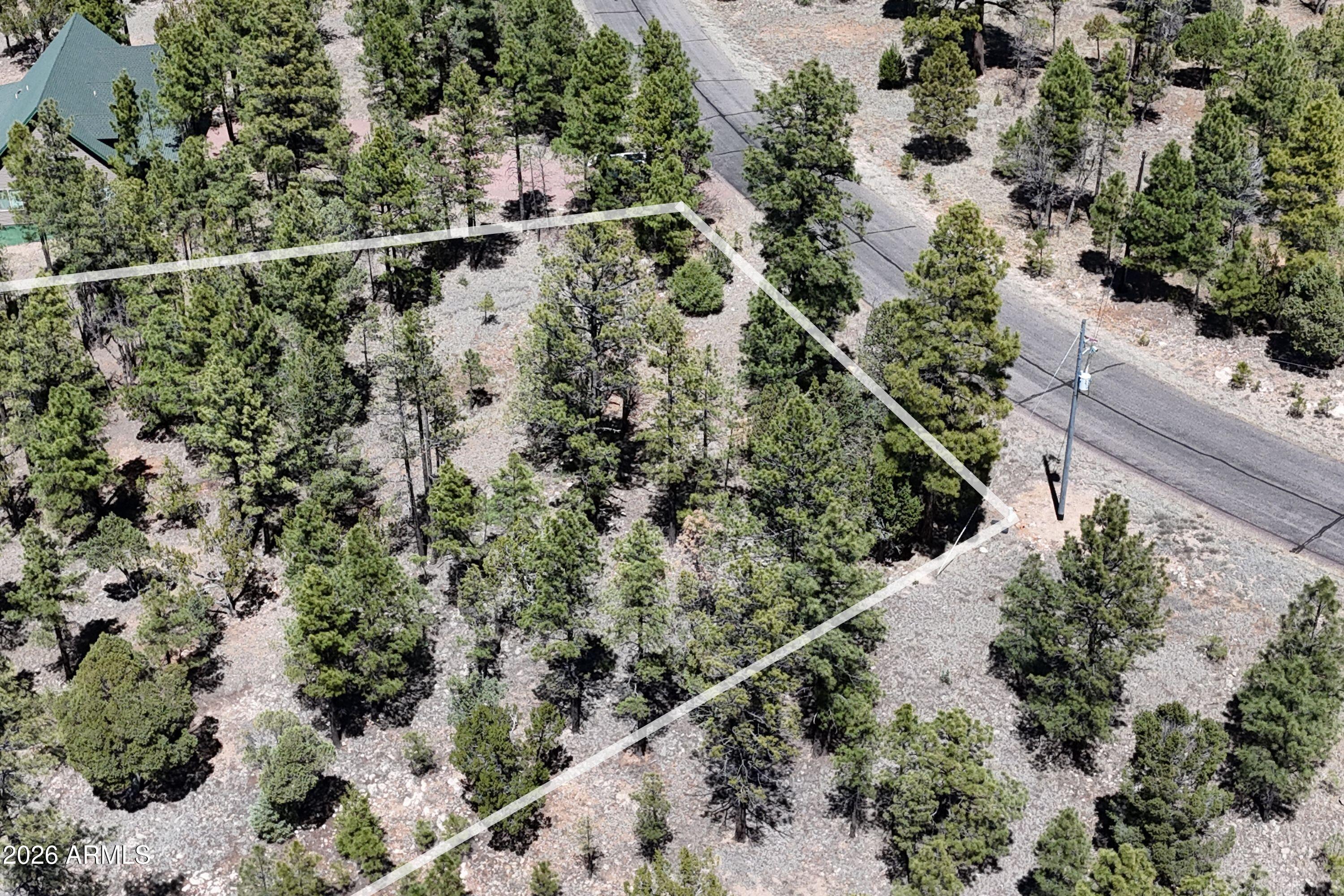 2870 Coyote Ridge, Unit 54 Happy Jack, AZ 86024 - Photo 3 of 37 10