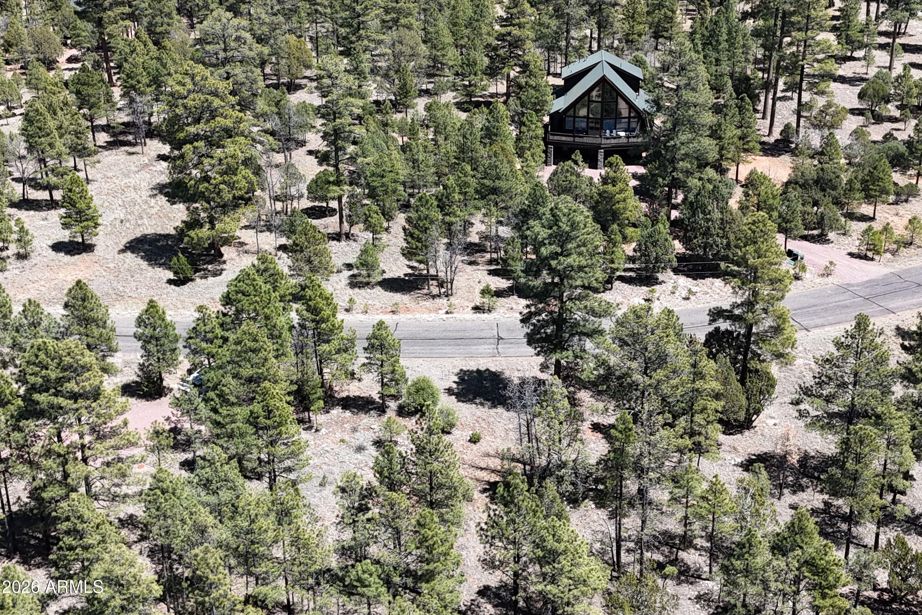 2870 Coyote Ridge, Unit 54 Happy Jack, AZ 86024 - Photo 33 of 37 a aerial view of house with yard and parking space