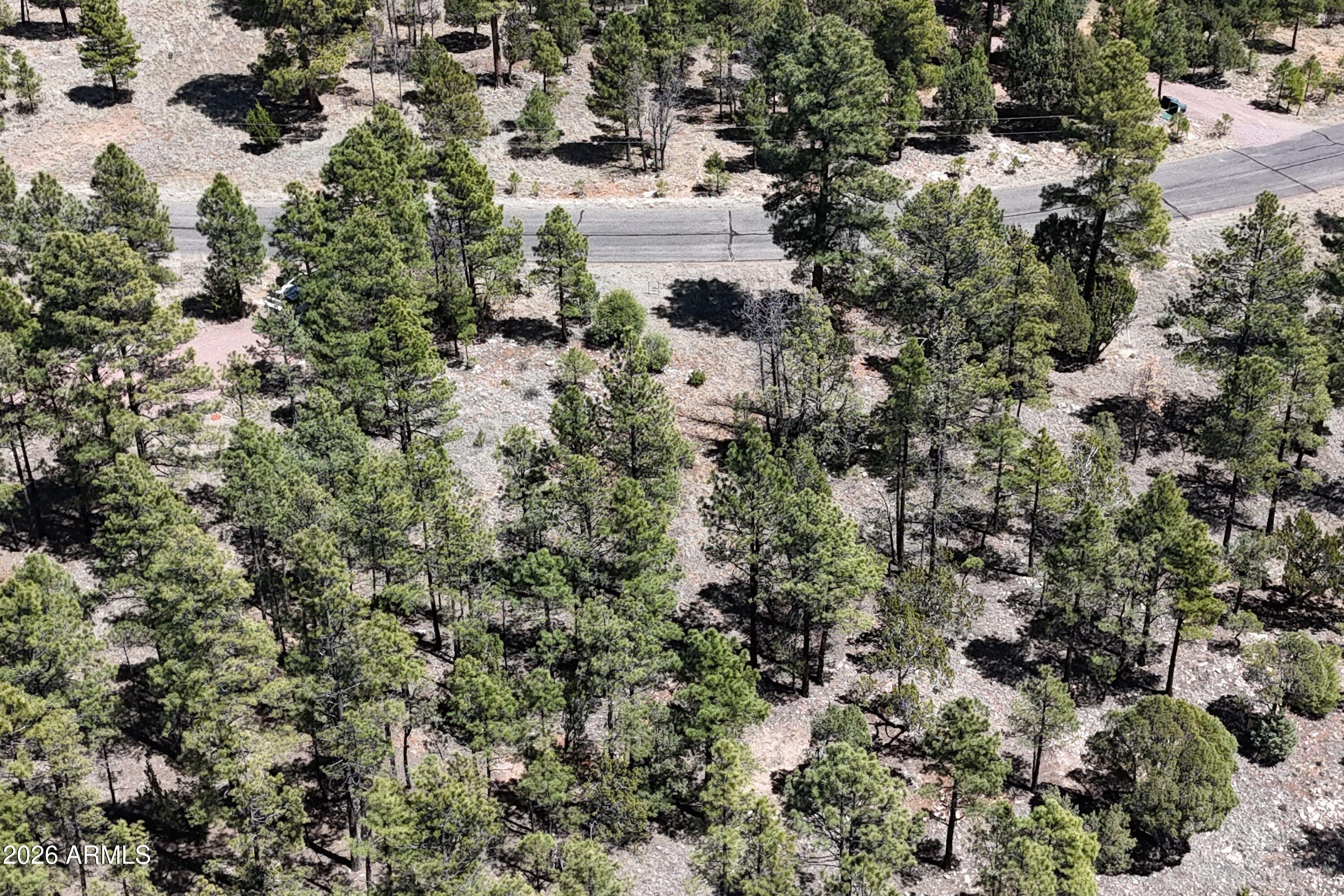 2870 Coyote Ridge, Unit 54 Happy Jack, AZ 86024 - Photo 34 of 37 a view of a lake view