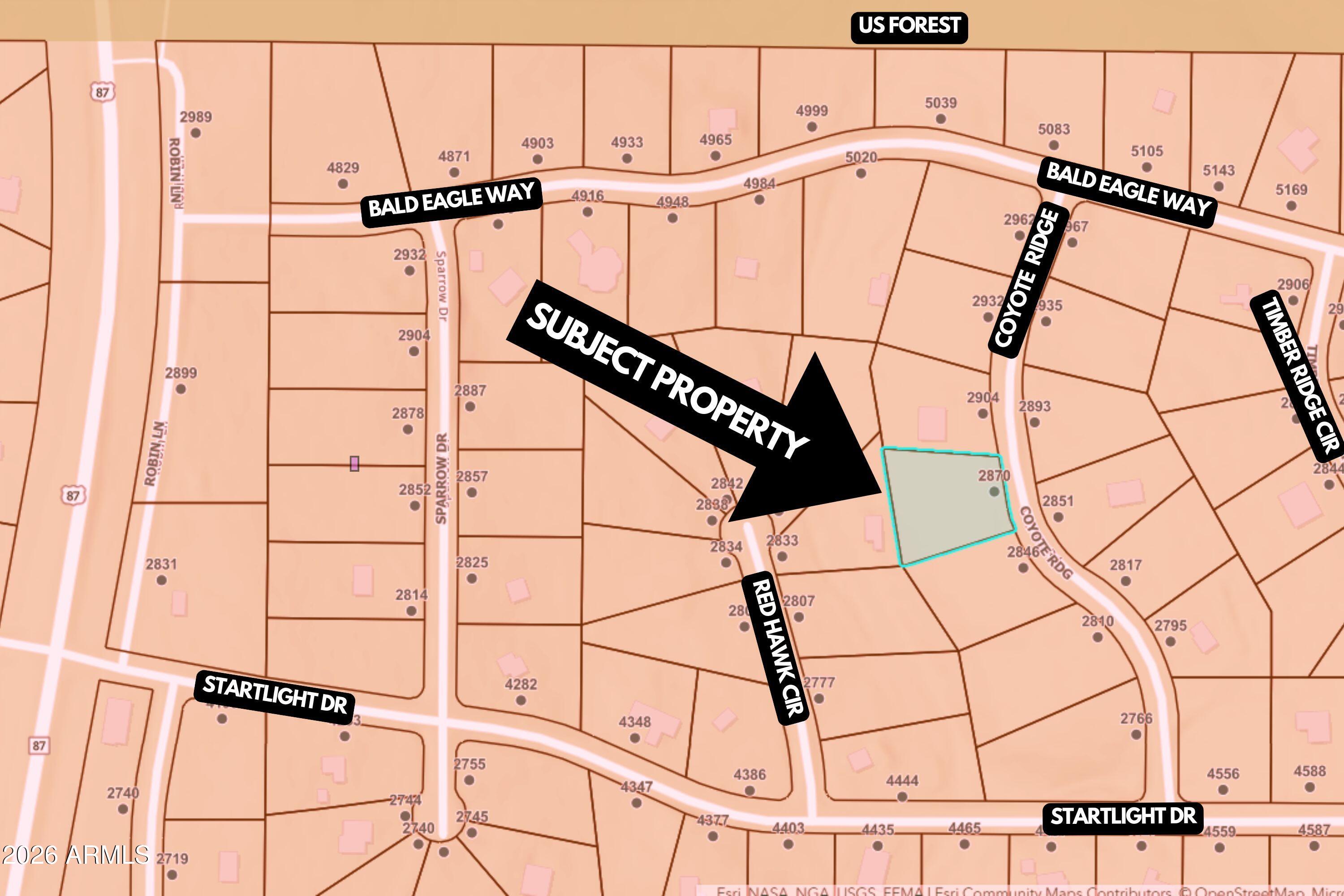 2870 Coyote Ridge, Unit 54 Happy Jack, AZ 86024 - Photo 35 of 37 a walk in closet with wooden floor