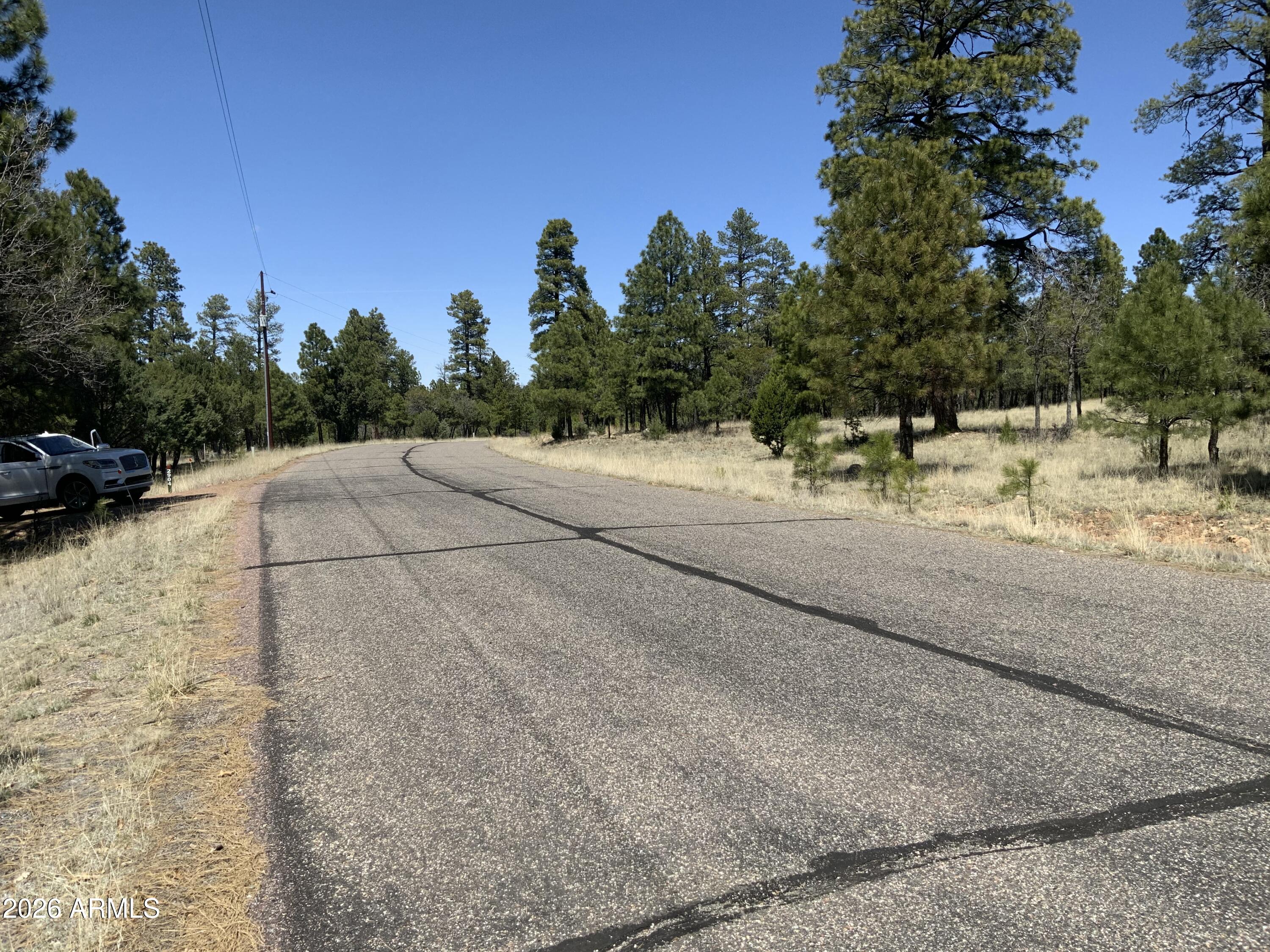 2870 Coyote Ridge, Unit 54 Happy Jack, AZ 86024 - Photo 37 of 37 a view of a yard with a tree