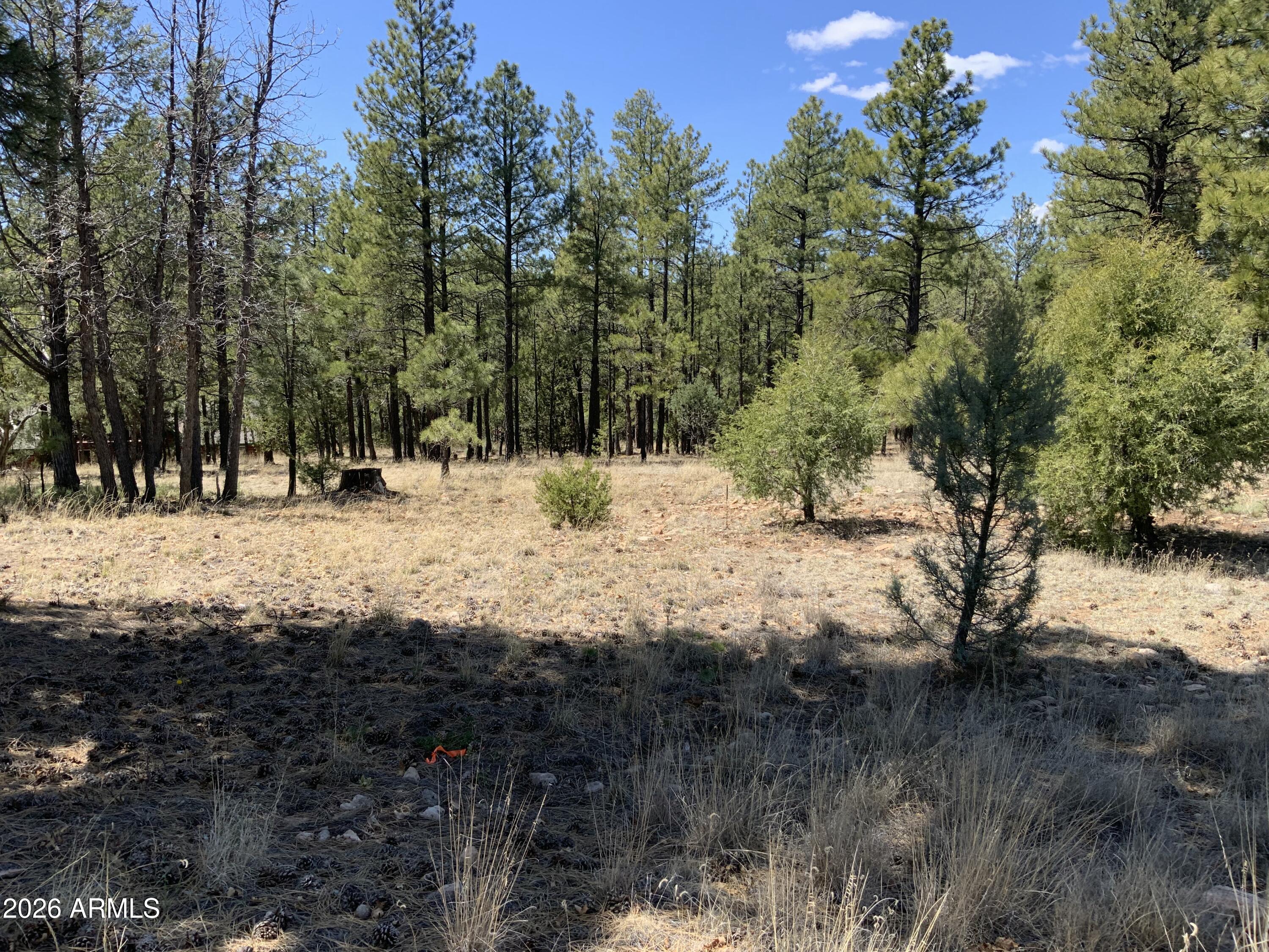 2870 Coyote Ridge, Unit 54 Happy Jack, AZ 86024 - Photo 4 of 37 a view of snow on a field