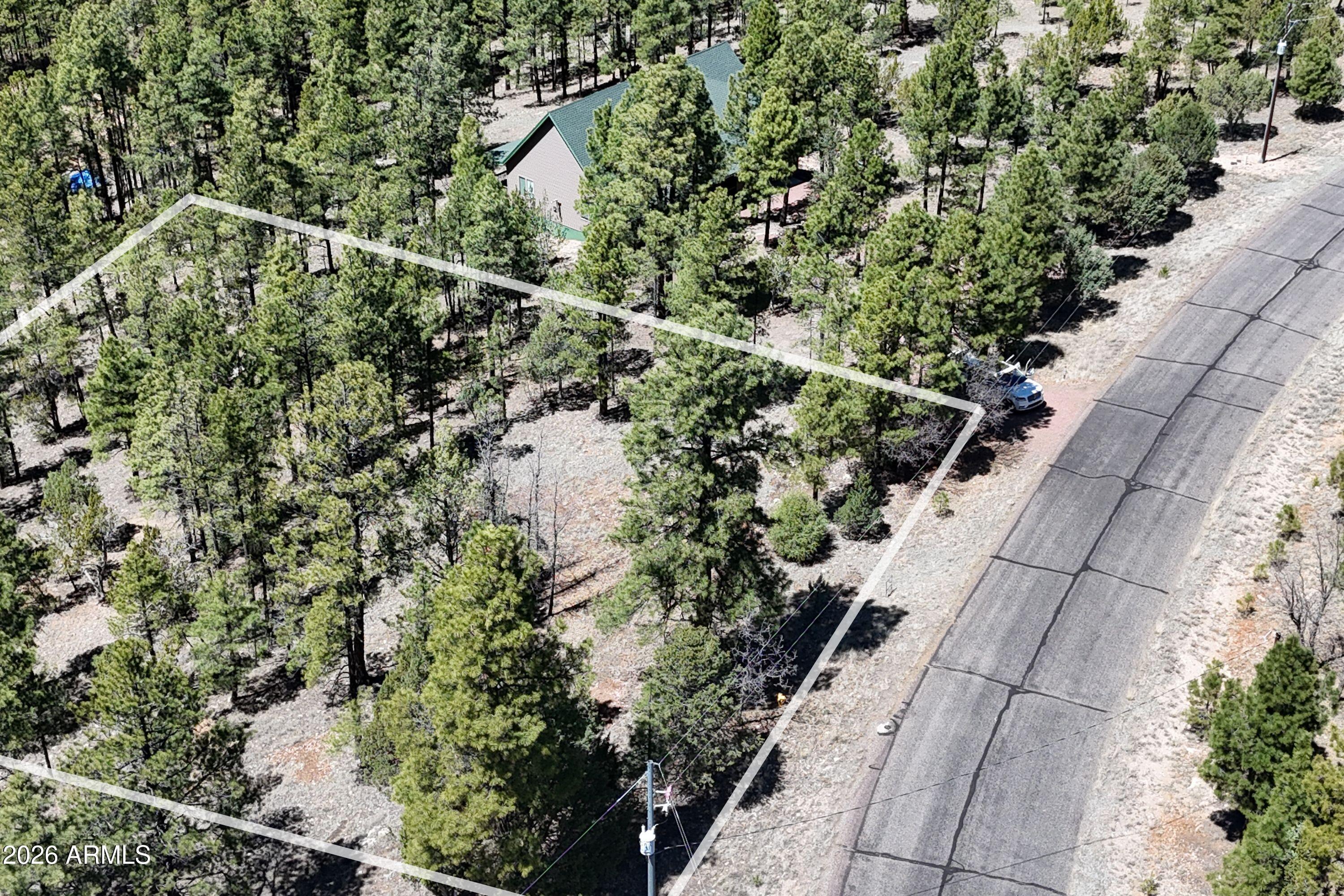2870 Coyote Ridge, Unit 54 Happy Jack, AZ 86024 - Photo 5 of 37 a view of a yard with plants and flowers