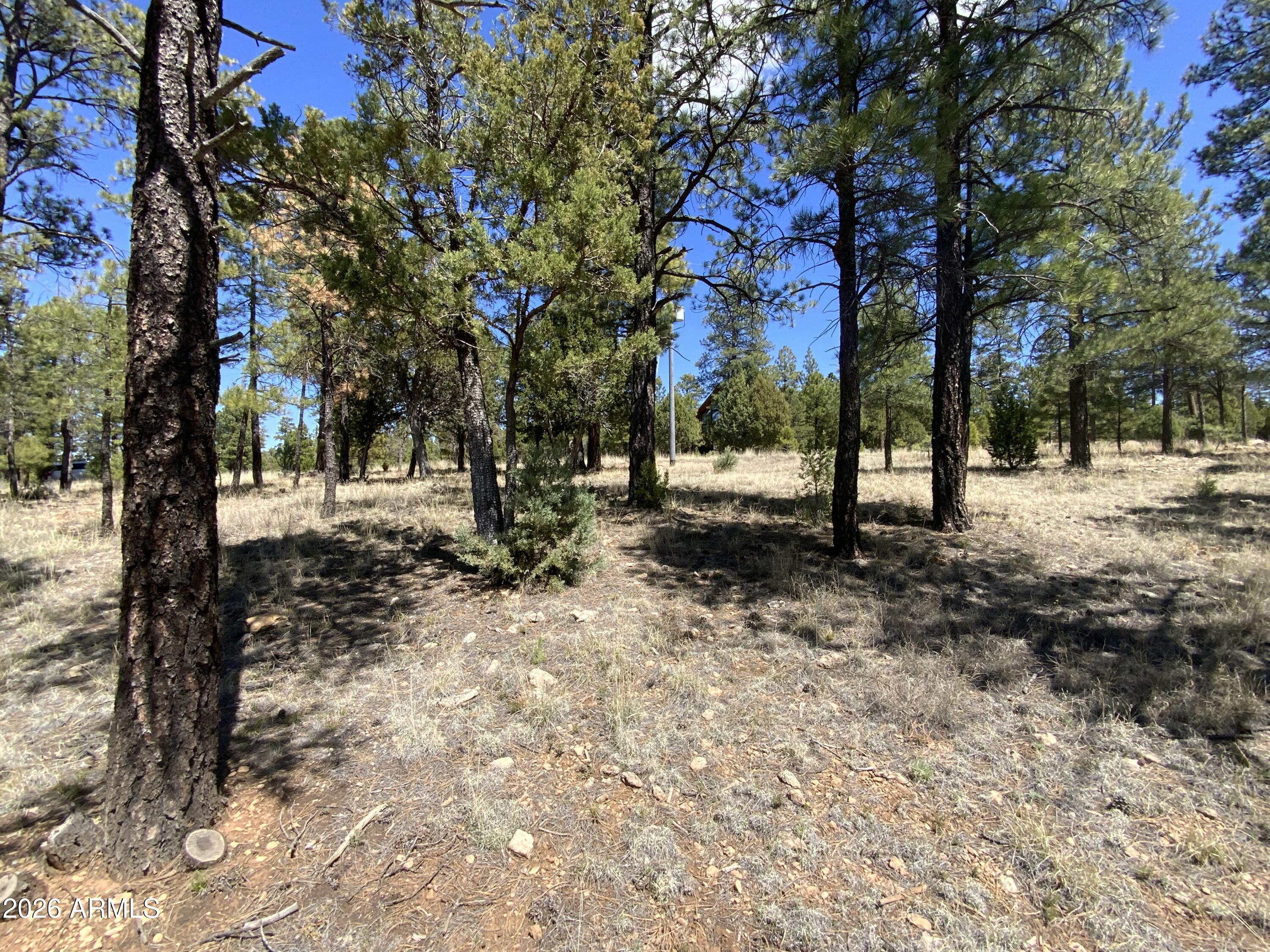 2870 Coyote Ridge, Unit 54 Happy Jack, AZ 86024 - Photo 6 of 37 a view of road with trees