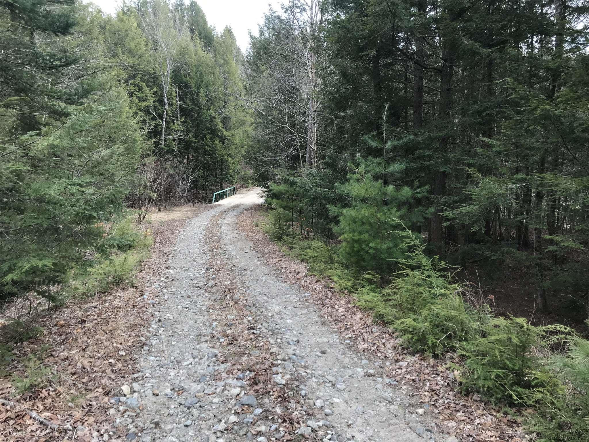 L11.1 Valley Road Thurman, NY 12885 - Photo 3 of 13 Photo 2