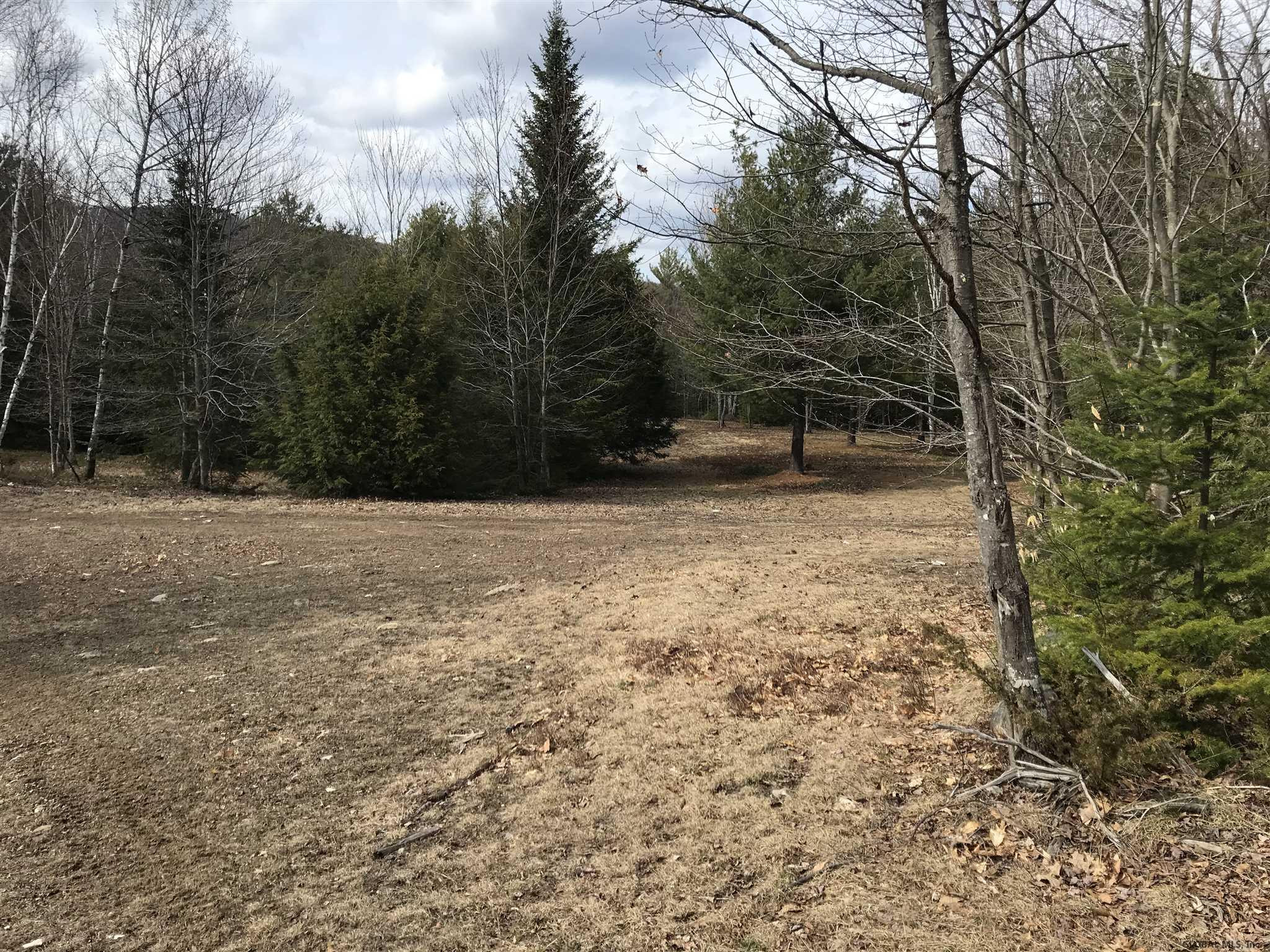 L11.1 Valley Road Thurman, NY 12885 - Photo 6 of 13 Photo 9