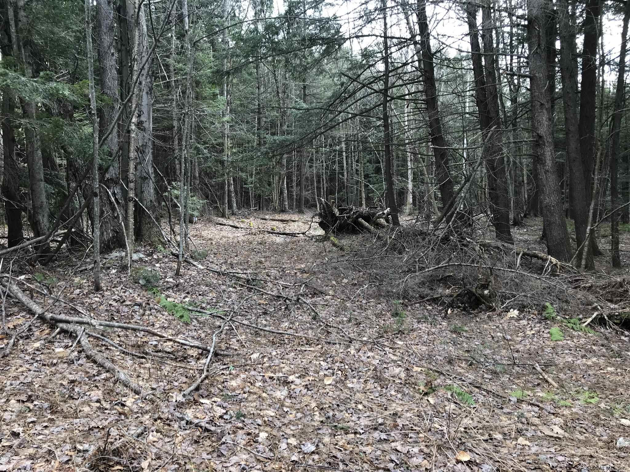 L11.1 Valley Road Thurman, NY 12885 - Photo 8 of 13 Photo 7