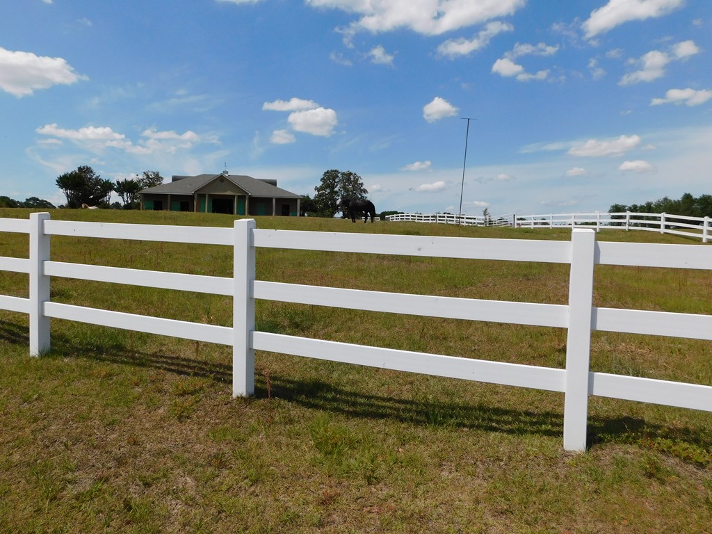 335 Judge Logue Road Newton, AL 36352 - Photo 6 of 74