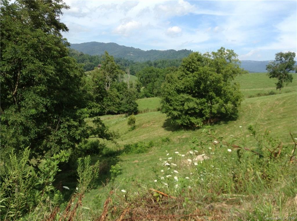 Lot 21 Haystack Road, Unit 21 Waynesville, NC 28785 - Photo 12 of 24