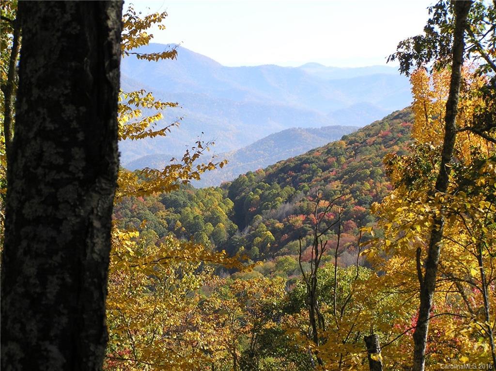 Lot 21 Haystack Road, Unit 21 Waynesville, NC 28785 - Photo 14 of 24