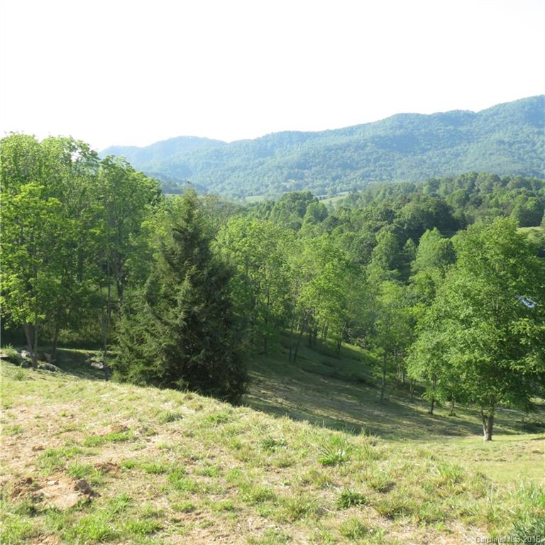 Lot 21 Haystack Road, Unit 21 Waynesville, NC 28785 - Photo 15 of 24