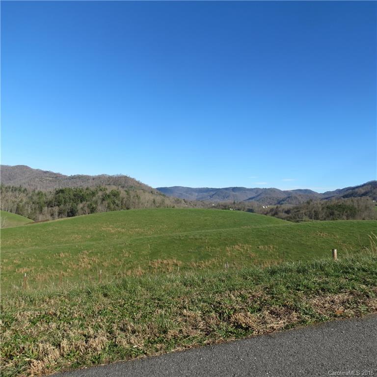 Lot 21 Haystack Road, Unit 21 Waynesville, NC 28785 - Photo 20 of 24