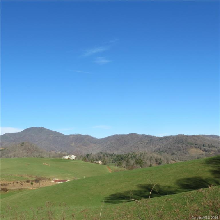 Lot 21 Haystack Road, Unit 21 Waynesville, NC 28785 - Photo 21 of 24