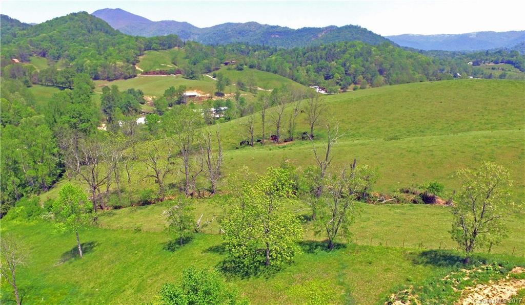 Lot 21 Haystack Road, Unit 21 Waynesville, NC 28785 - Photo 4 of 24