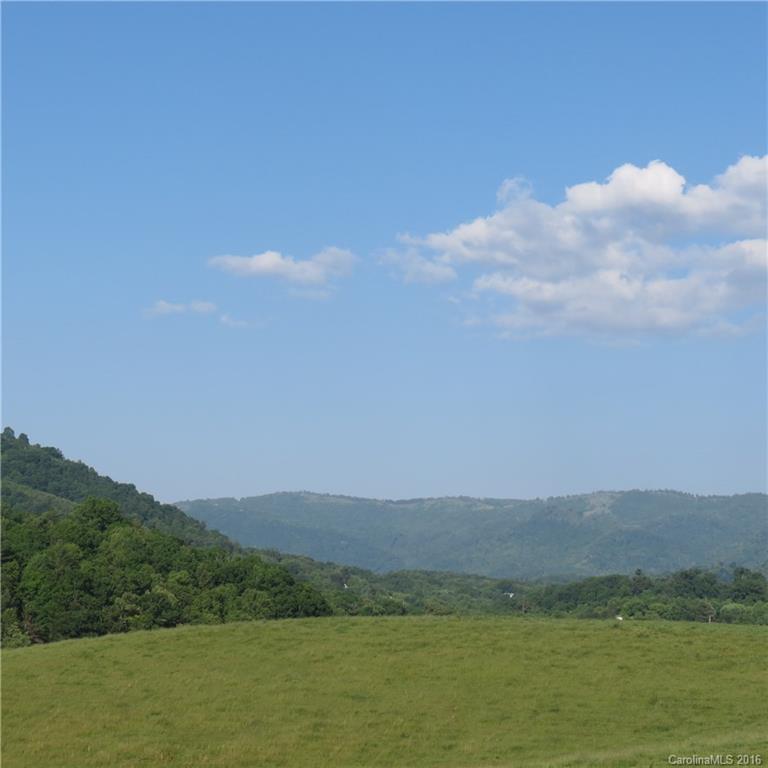 Lot 21 Haystack Road, Unit 21 Waynesville, NC 28785 - Photo 5 of 24