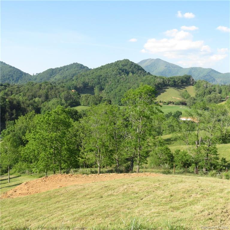 Lot 21 Haystack Road, Unit 21 Waynesville, NC 28785 - Photo 8 of 24