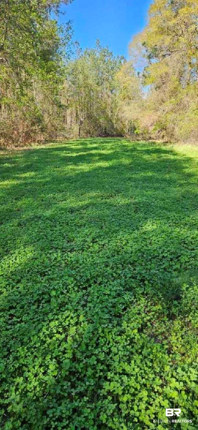27861 New Hope Church Road Robertsdale, AL 36567 - Photo 28 of 29 View of yard