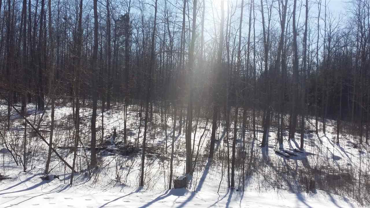 5969 Knoll Road Hale, MI 48739 - Photo 20 of 30 1844361-19.JPG