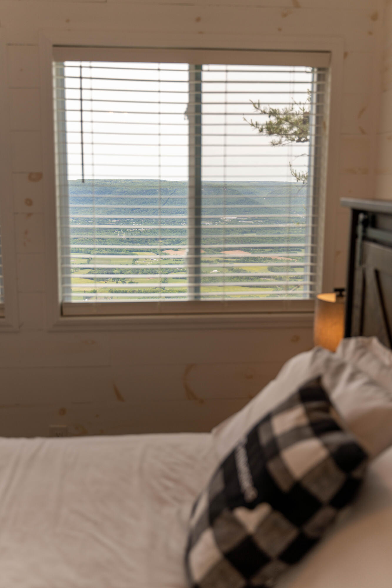 1004 Window Rock Road Dunlap, TN 37327 - Photo 18 of 55 1004WindowRock-17