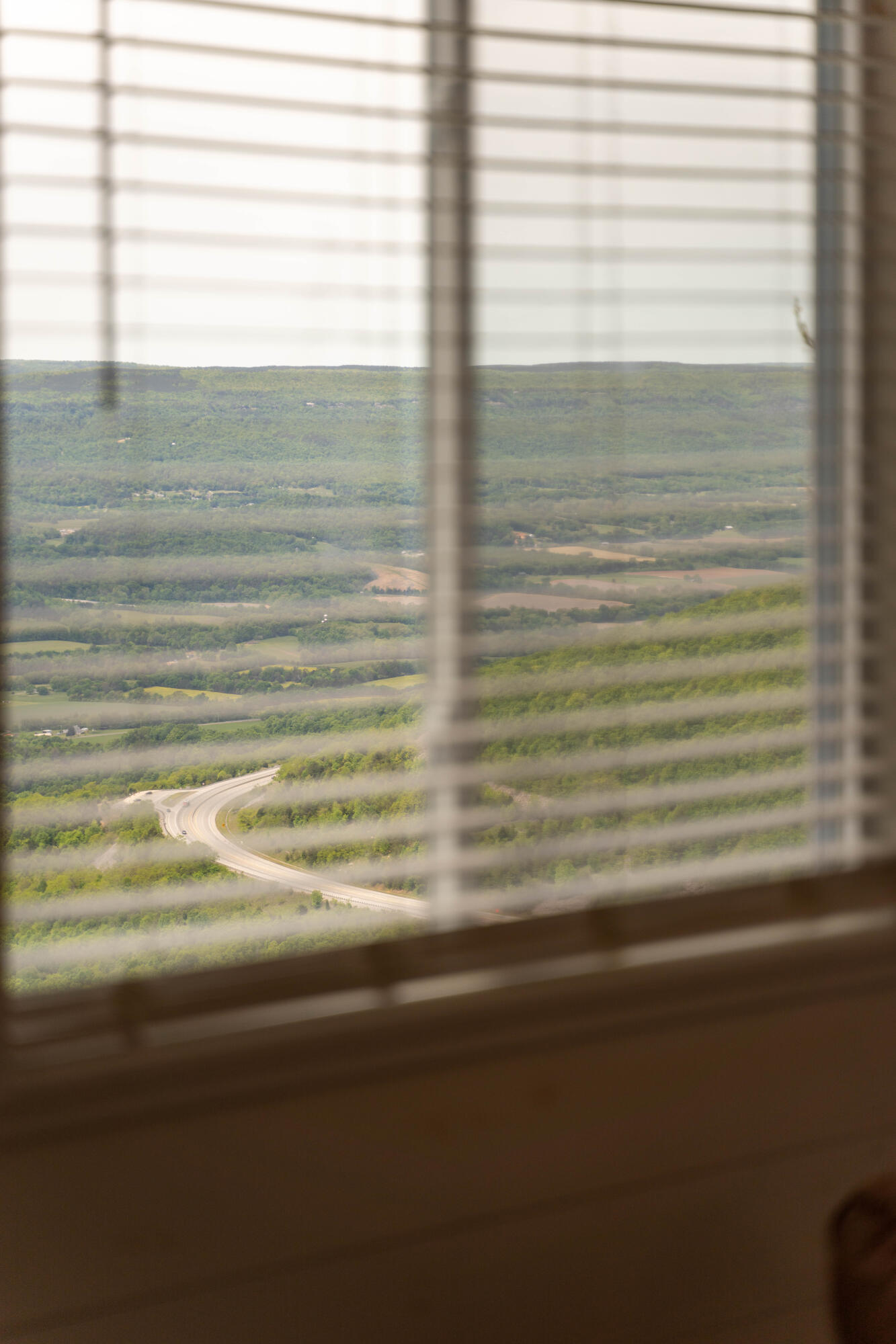 1004 Window Rock Road Dunlap, TN 37327 - Photo 19 of 55 1004WindowRock-18