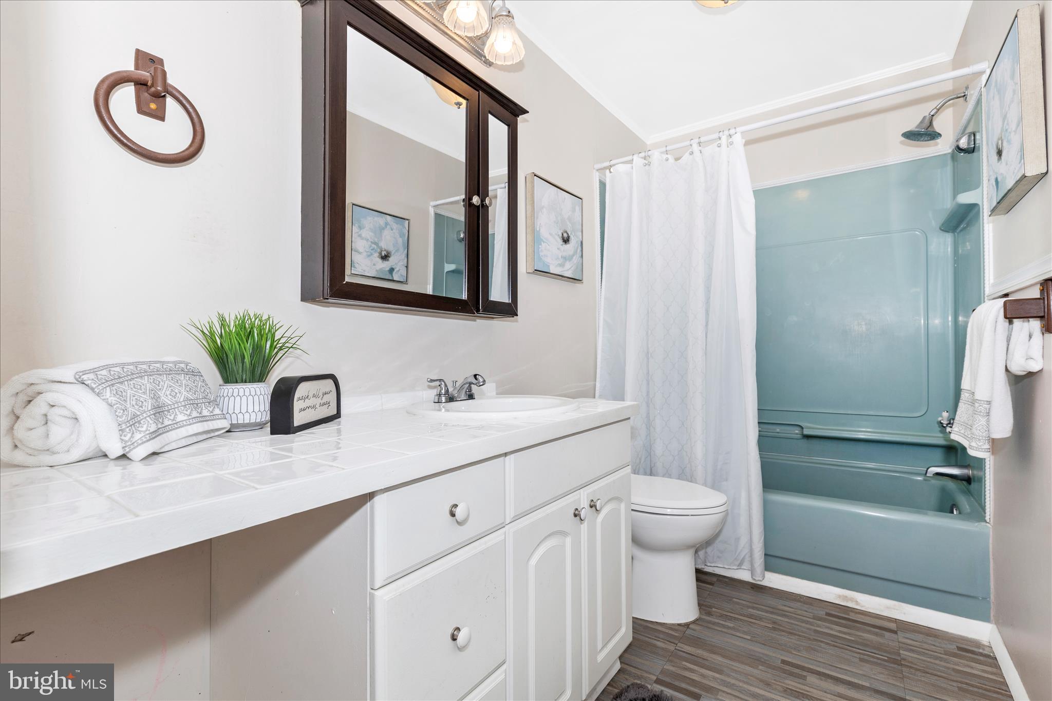517 West Potomac Street Brunswick, MD 21716 - Photo 26 of 36 a bathroom with a granite countertop sink and a mirror